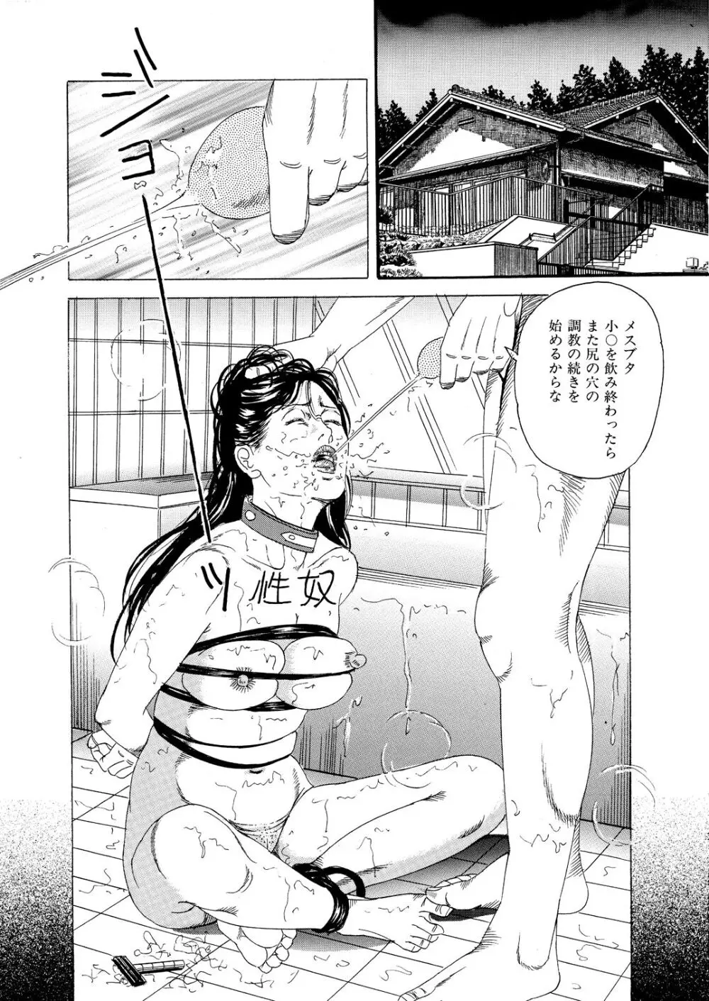 密膣の隷嬢 - page22