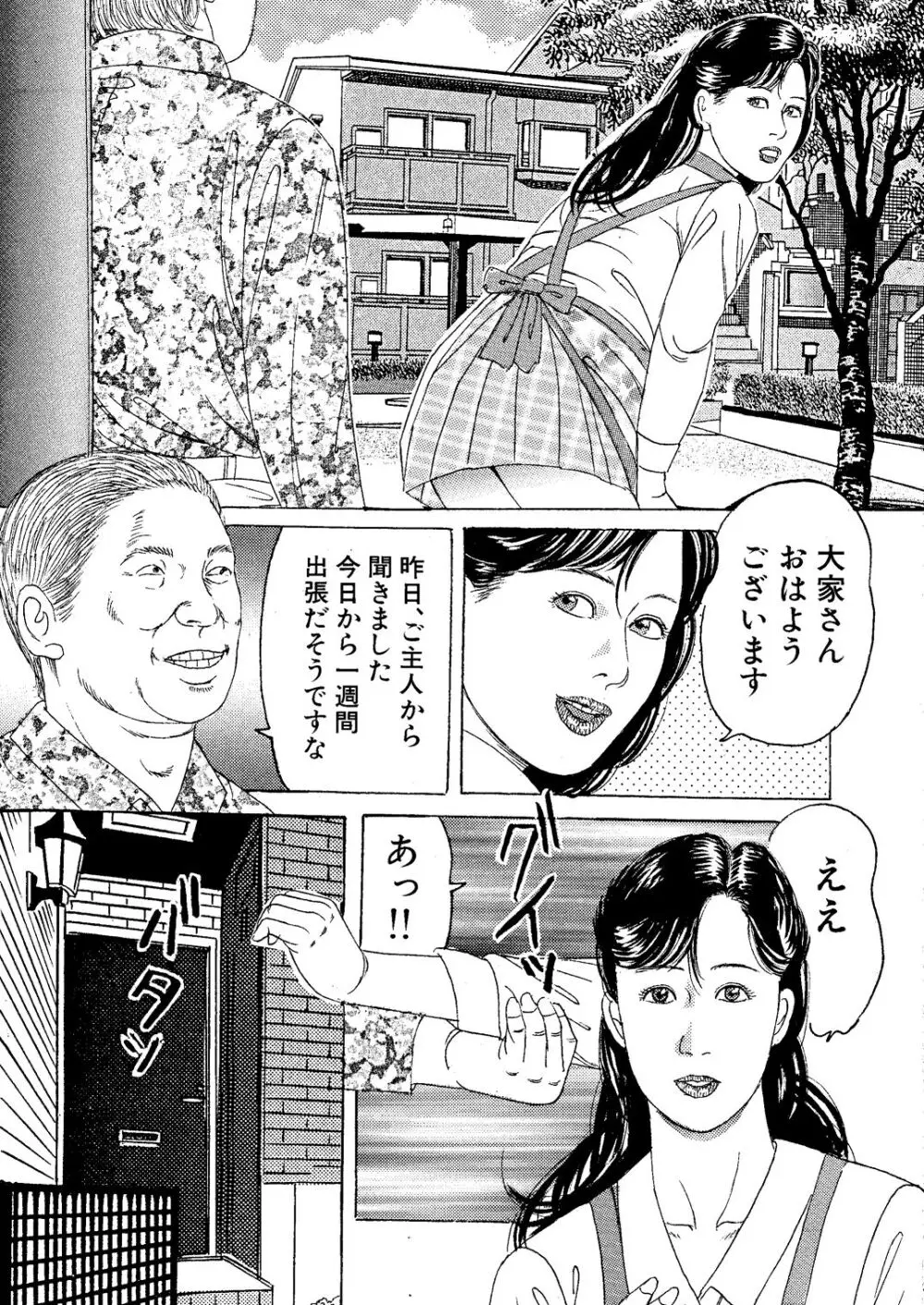 新妻みだら凌辱調教 - page5