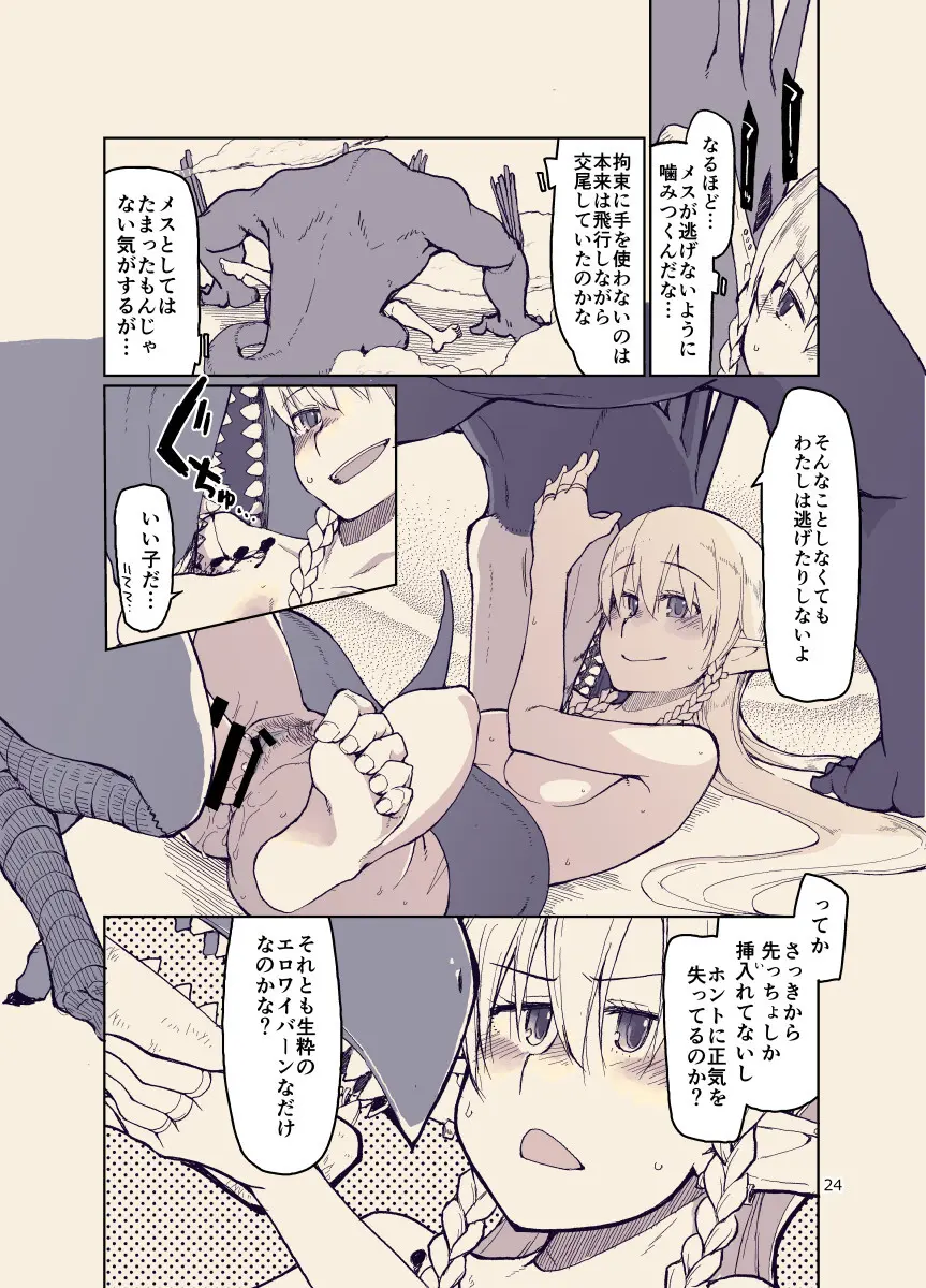 ドスケベエルフの異種姦日記12 - page23