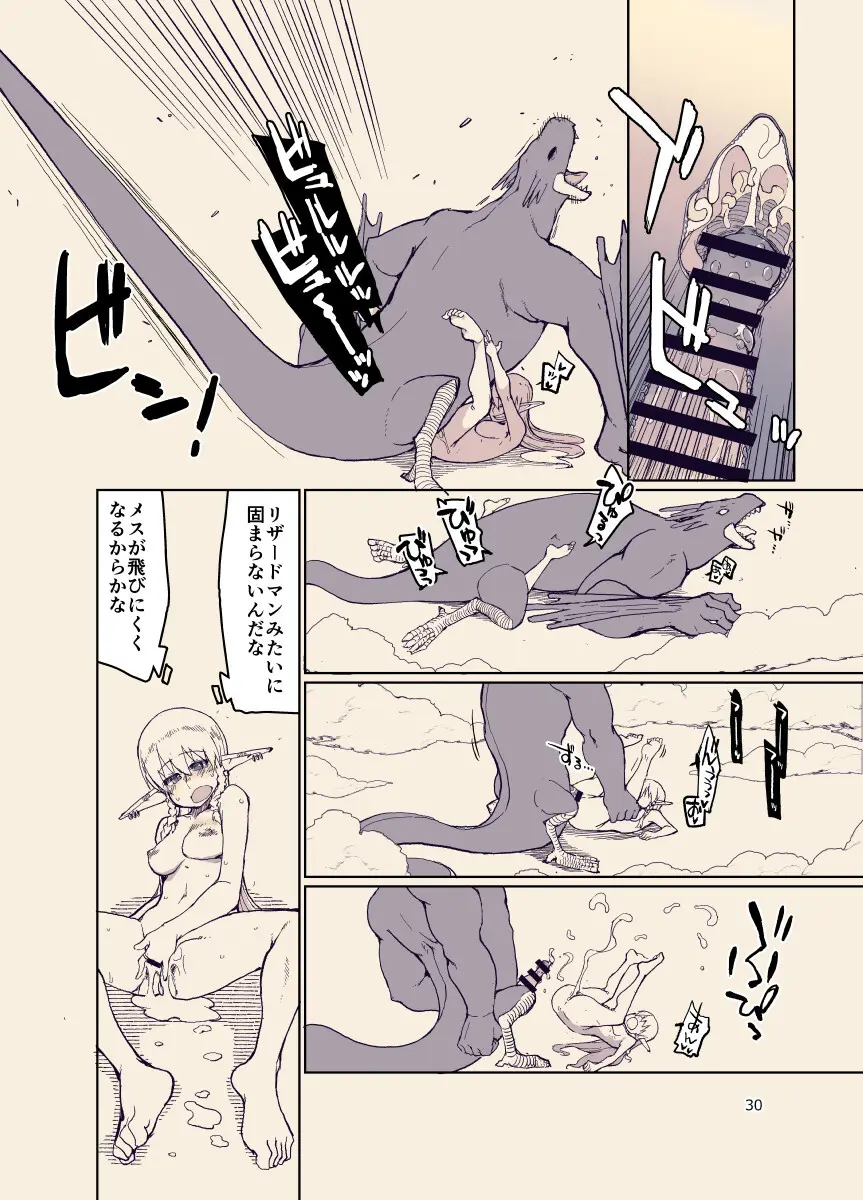 ドスケベエルフの異種姦日記12 - page29