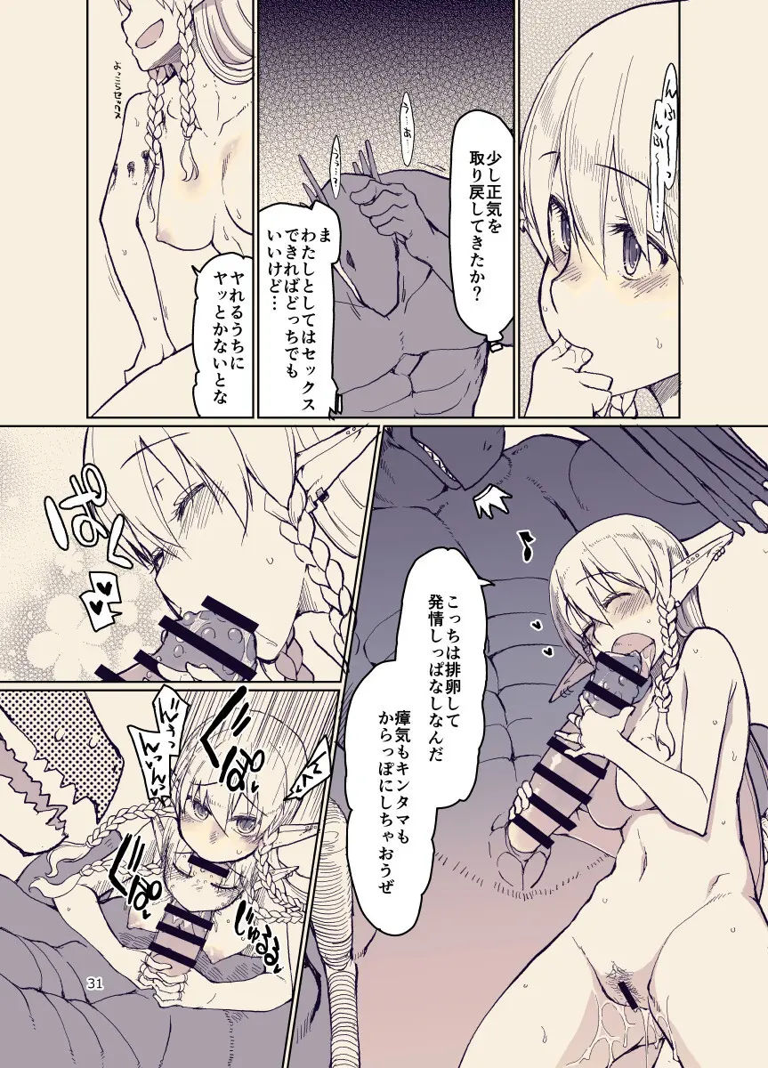 ドスケベエルフの異種姦日記12 - page30