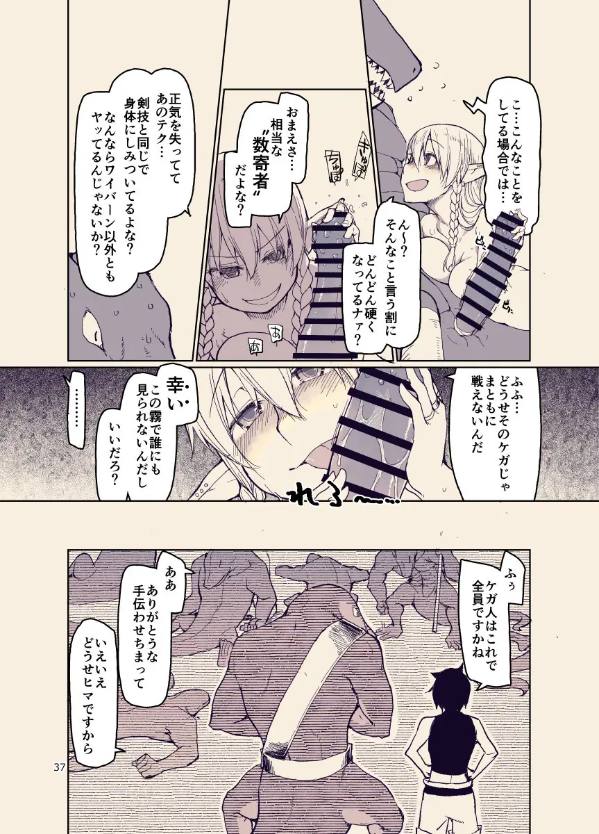 ドスケベエルフの異種姦日記12 - page36