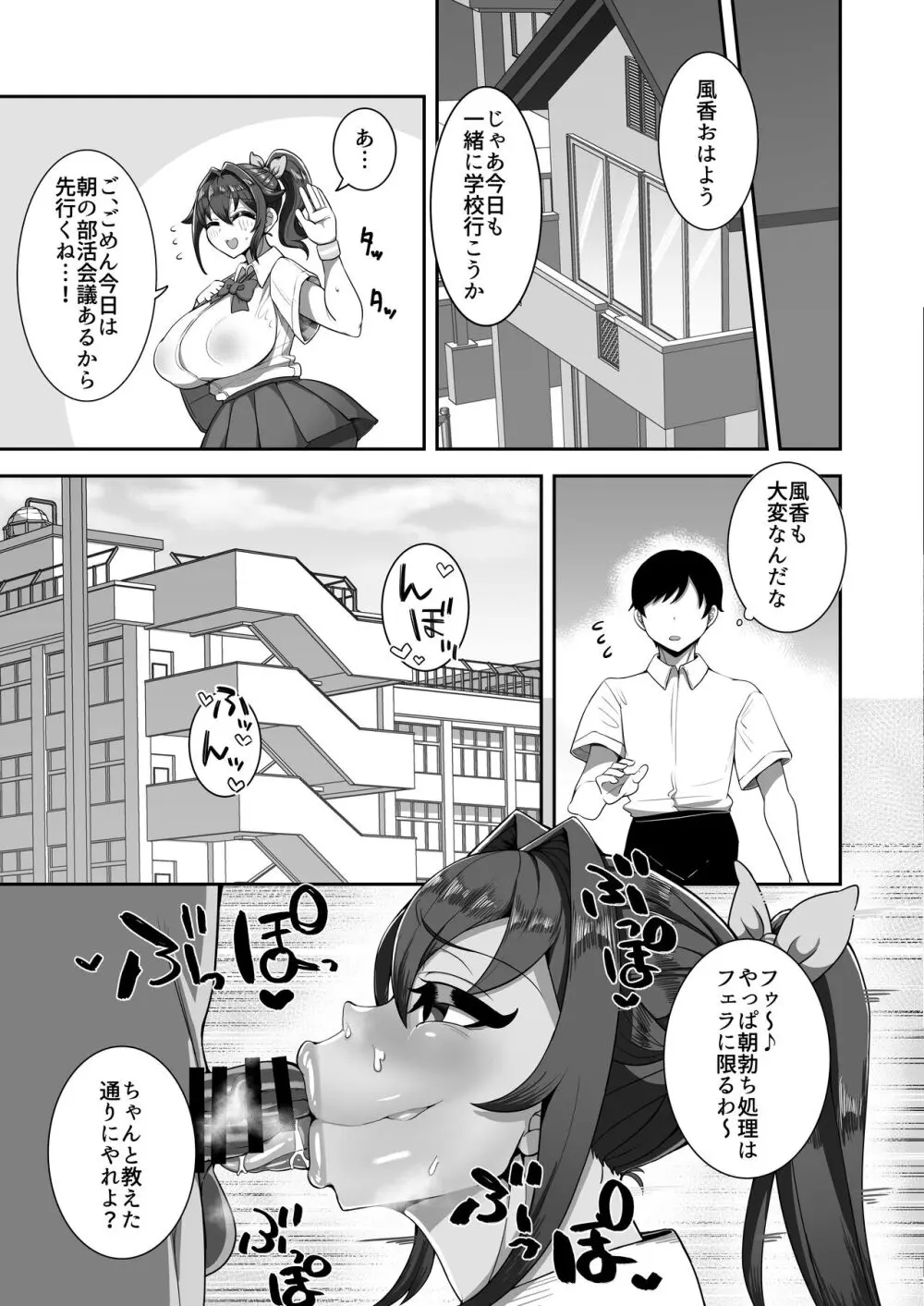 僕の幼馴染は隠し事なんてする筈ない - page17