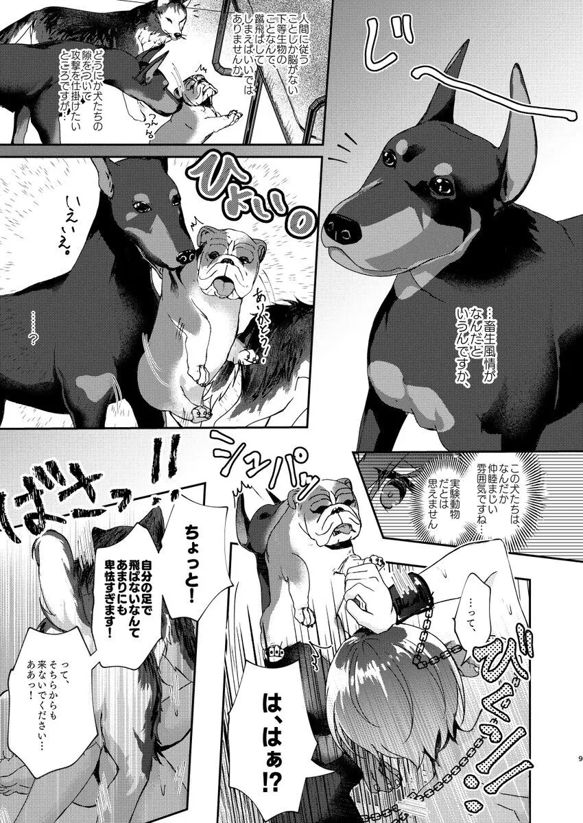 犬畜生との異種交配なんて認めませんが!? - page7