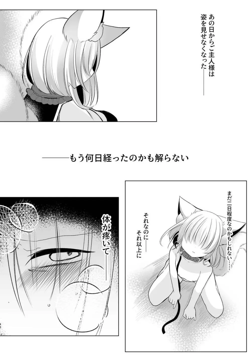 八雲藍による性奴隷調教 一時の戯れ - page46