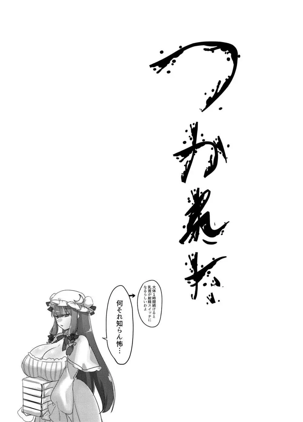 紅魔館式新人教育 - page33