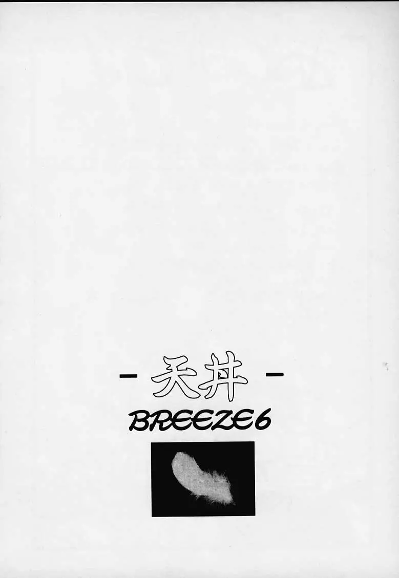 天丼 BREEZE6 - page28