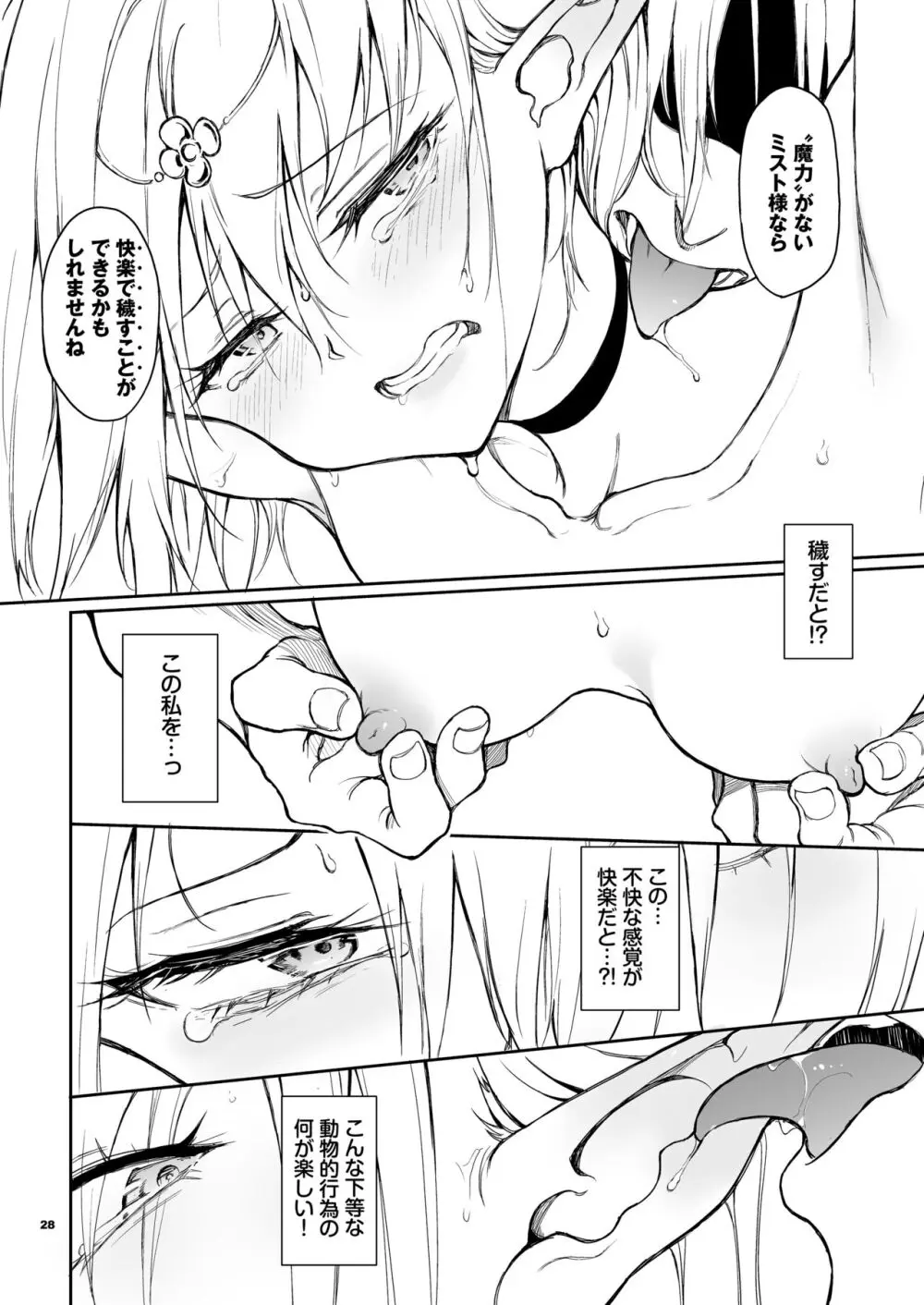 エルフ教育 －亡国のミスト－ - page28