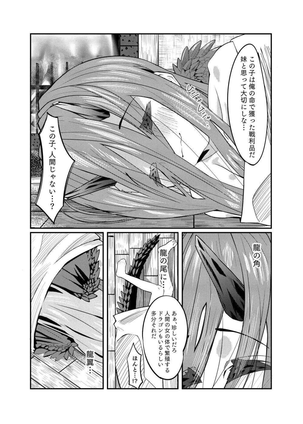 ドラッ娘chanとけもみみショタkun本―運命の?出会い編― - page12