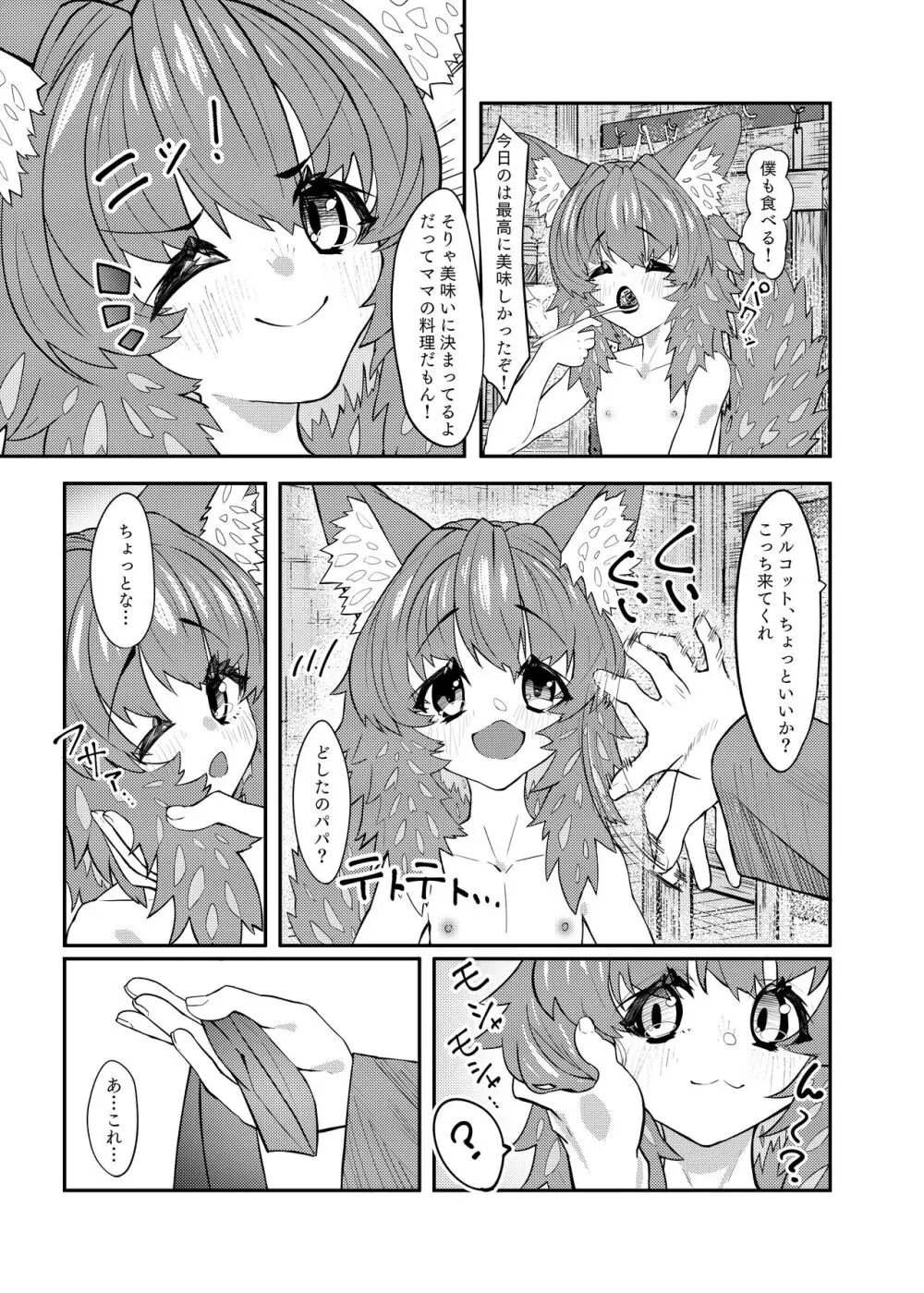 ドラッ娘chanとけもみみショタkun本―運命の?出会い編― - page8