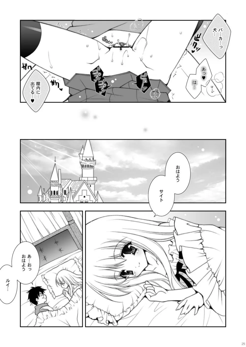 ゼロの使い魔 総集編 - page25