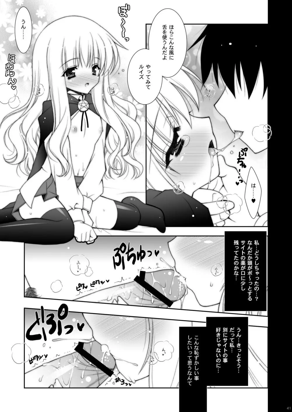 ゼロの使い魔 総集編 - page41