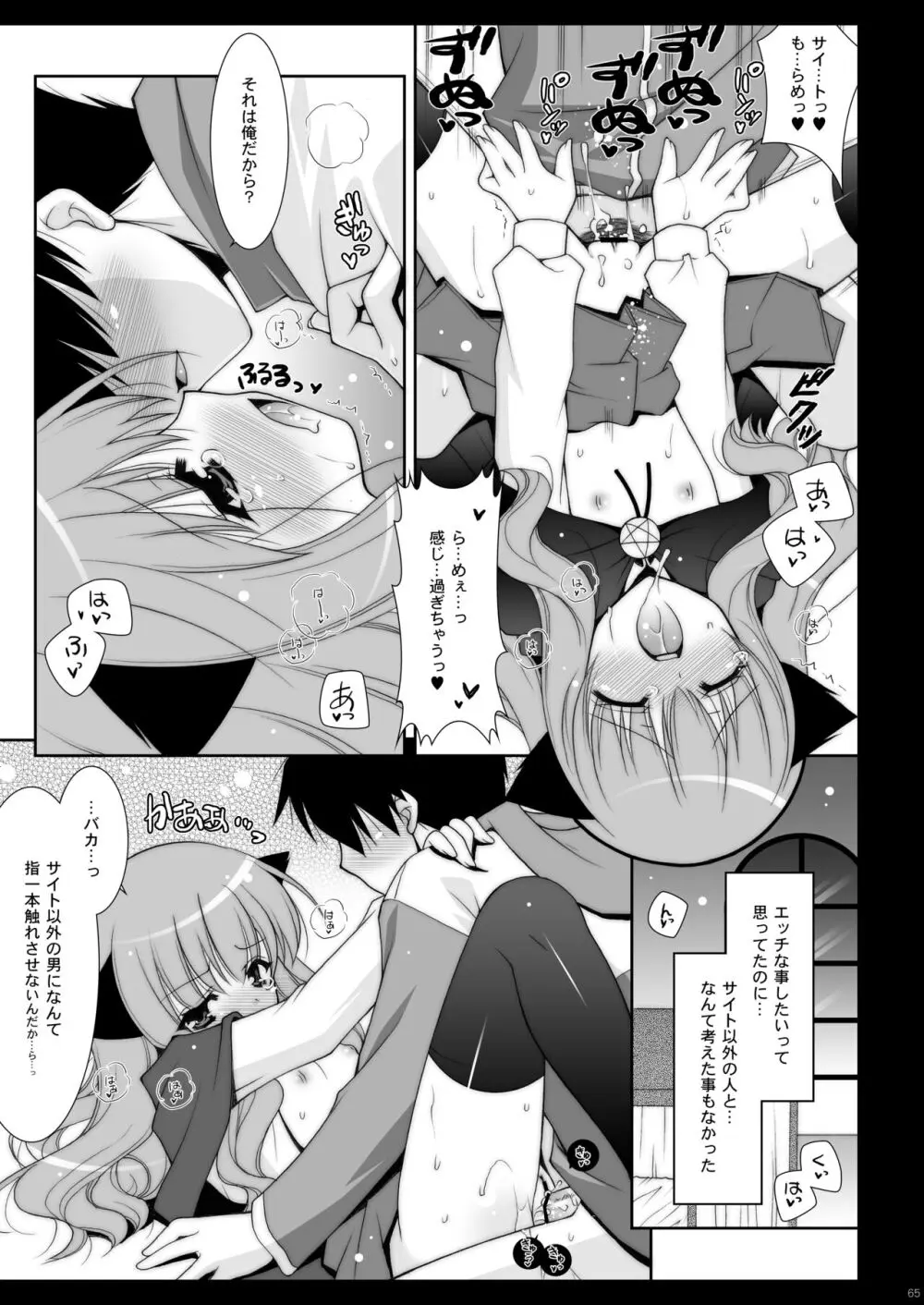 ゼロの使い魔 総集編 - page65