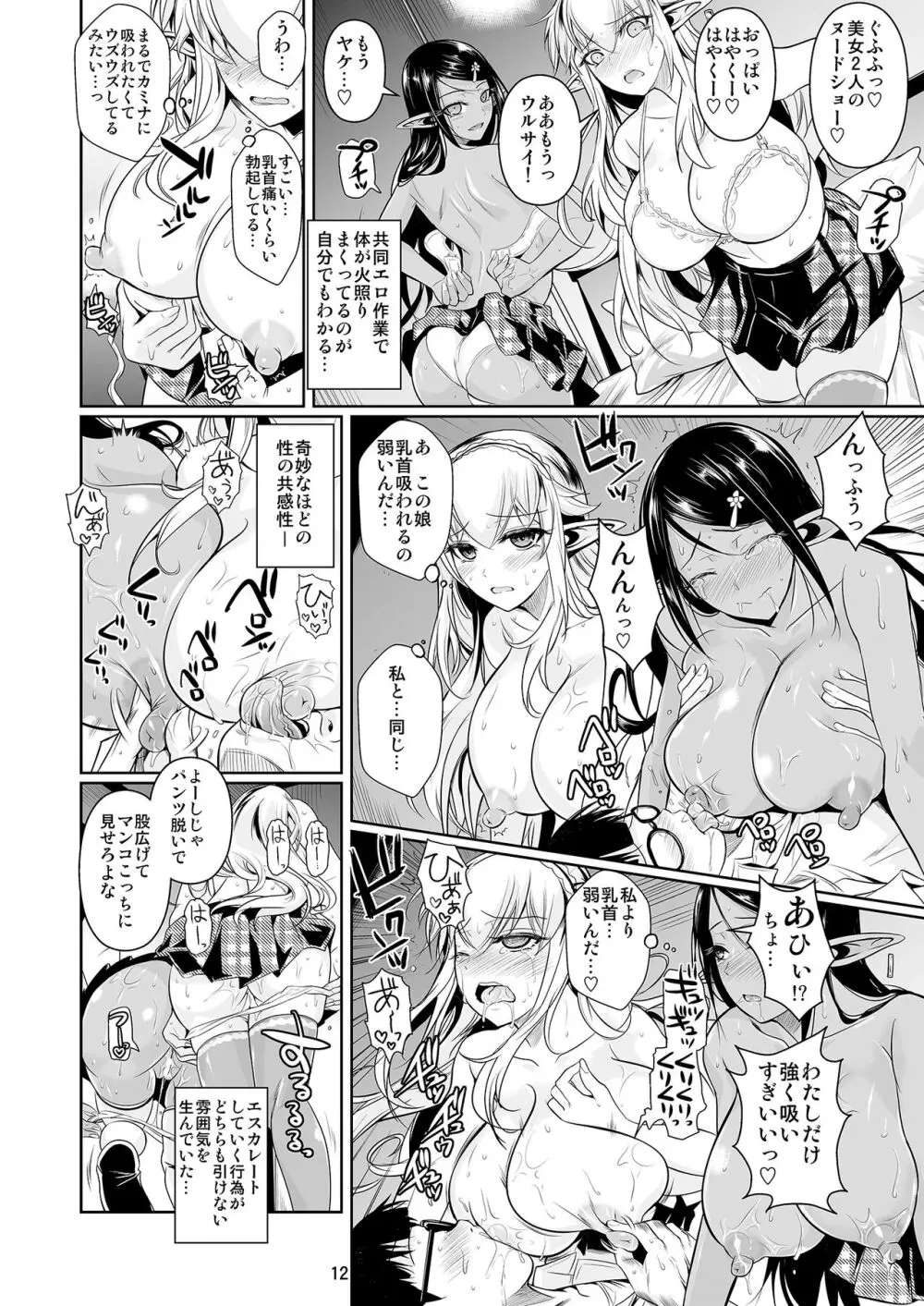 ハイエルフ×ハイスクール 白×黒 - page13