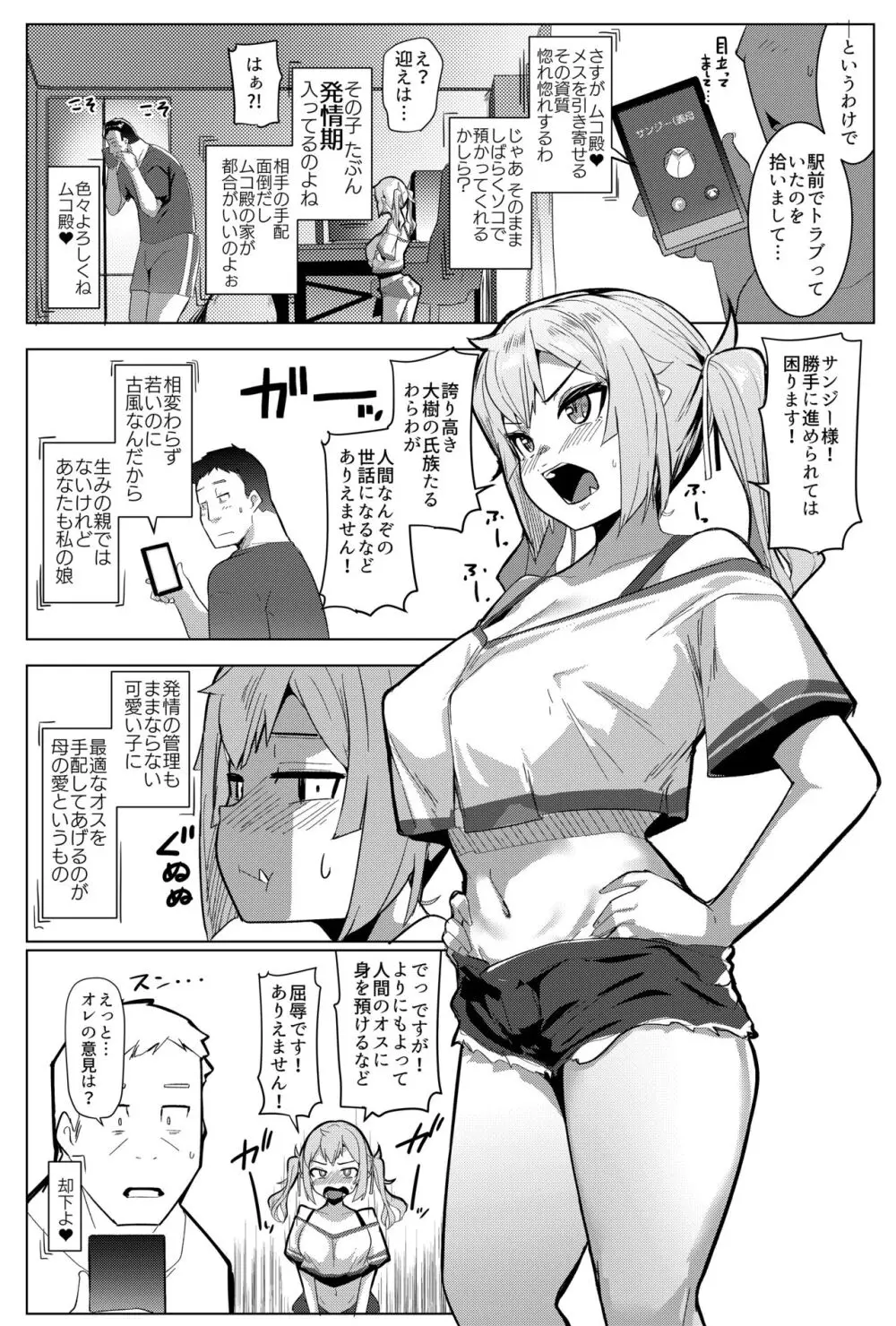 イモウトハメスオーク7 - page4