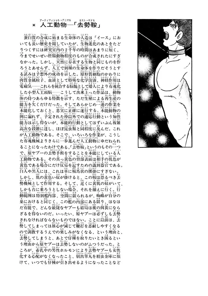 家畜人ヤプー 1 復刻版 - page240