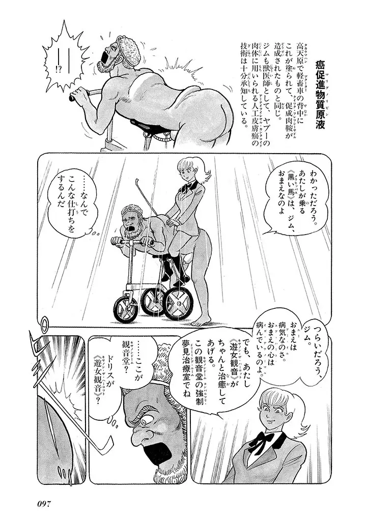 家畜人ヤプー 3 復刻版 - page101