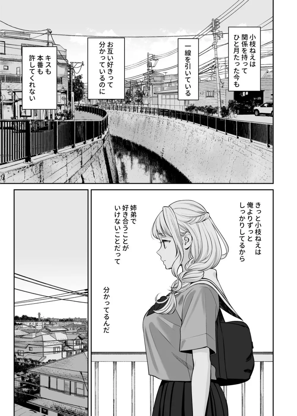 姉弟以外になれたなら - page20