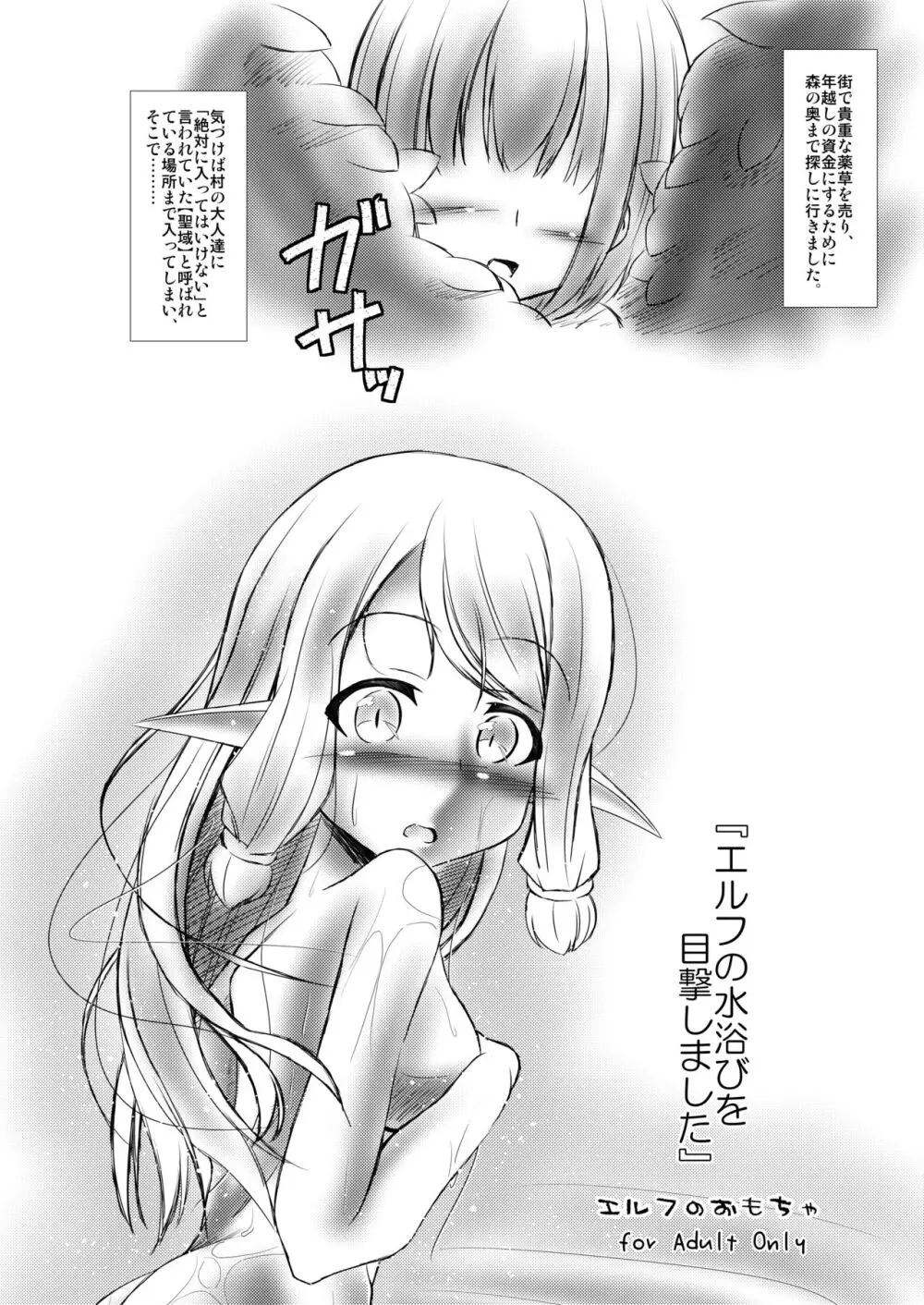 エルフ娘との交流性活 + エルフのおもちゃ - page29