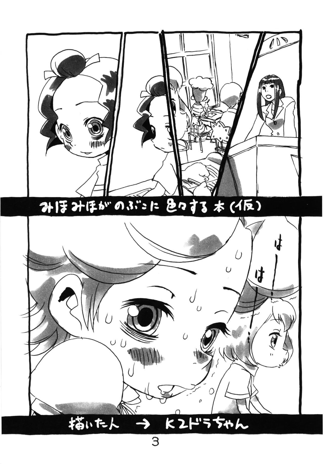 みほみほがのぶこに色々する本。 - page2