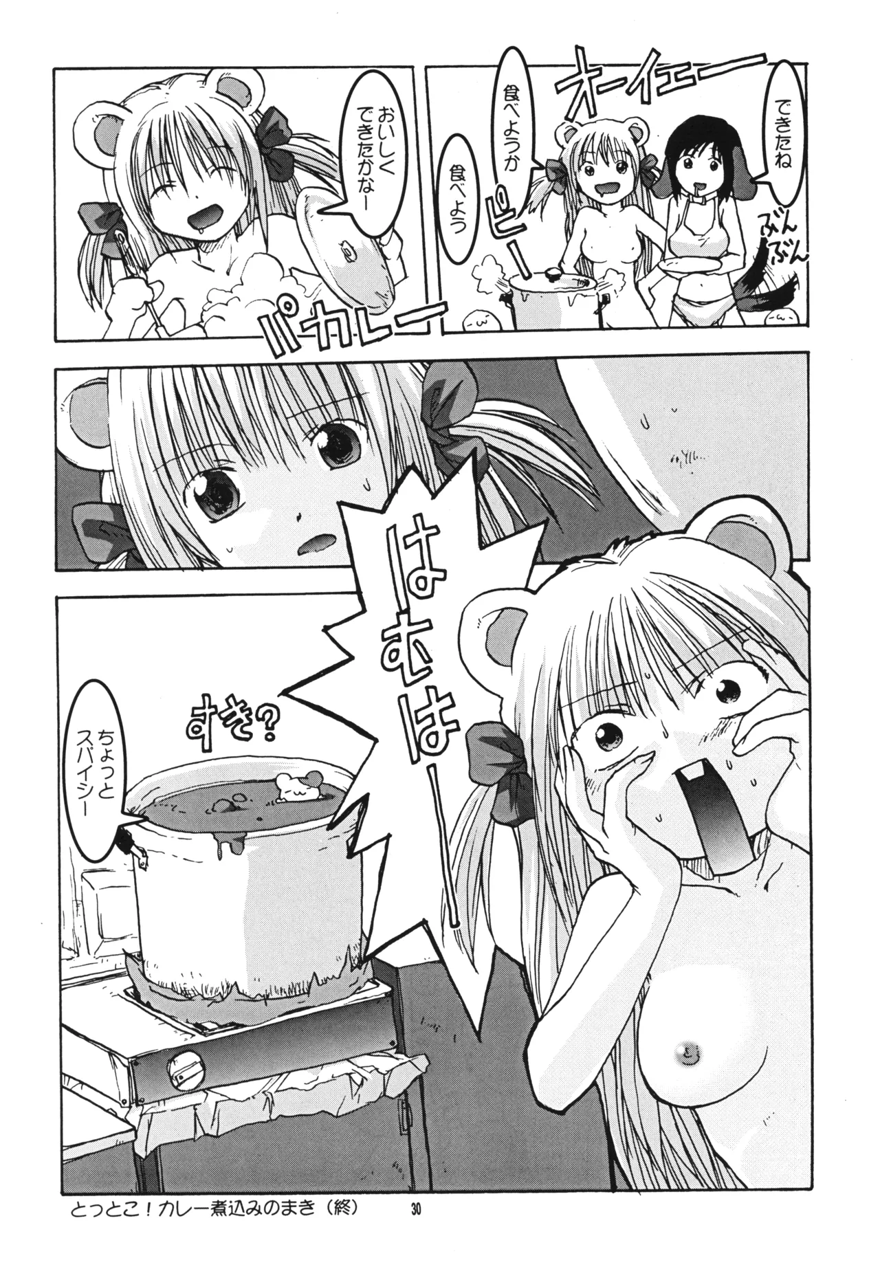 けものけ通信 11 ロコちゃんFANBOOK - page29