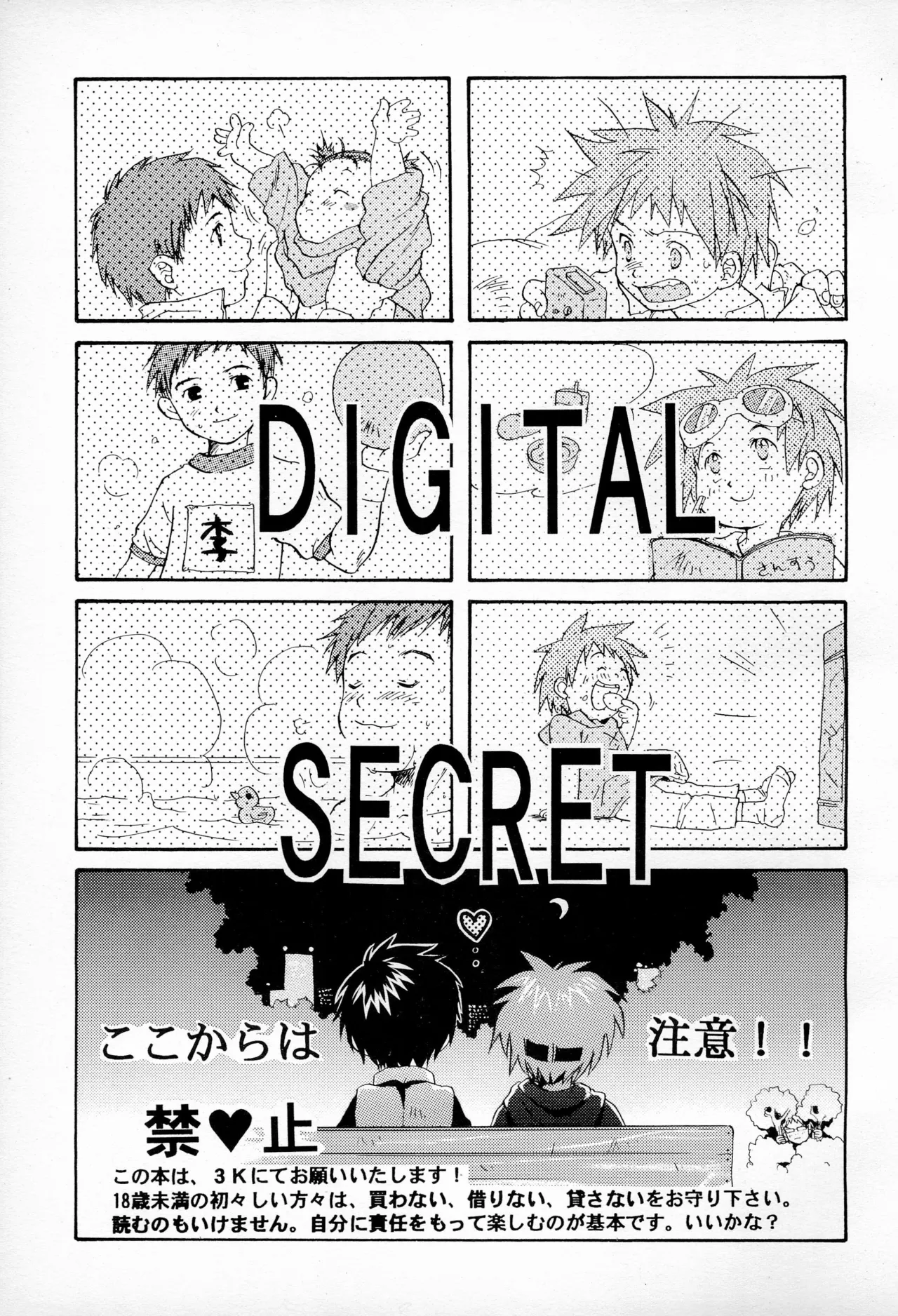 DIGITAL SECRET - page3