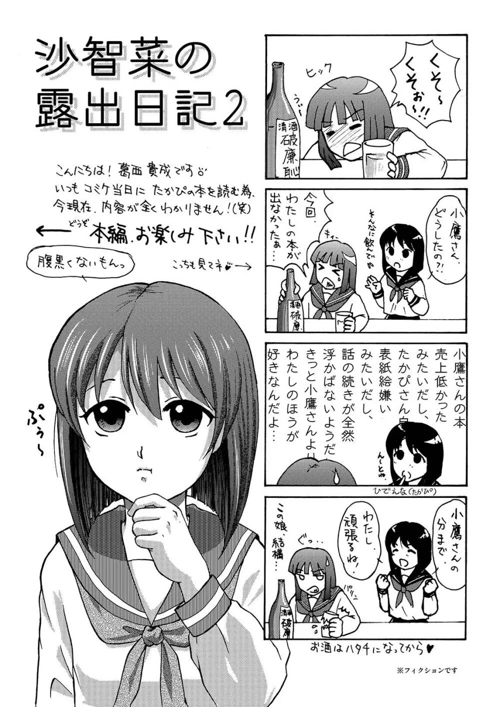 沙智菜の露出日記2 - page3