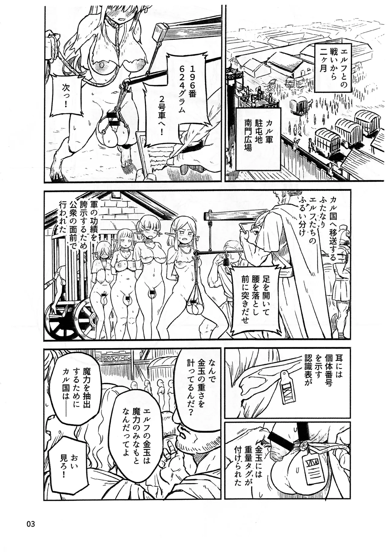 虜囚のふたなりエルフ 準備号 - page3