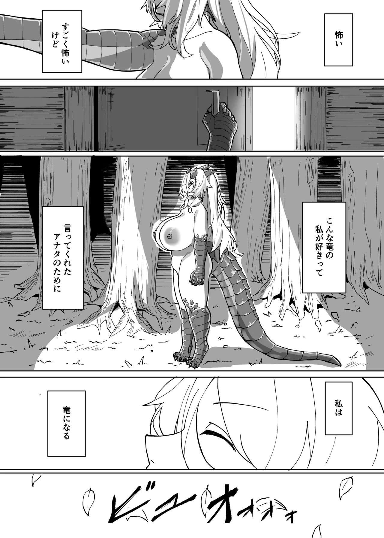 あの夜が一番の幸せだったから 迫害竜娘と限界殺し屋 人語忘れて獣エッチ - page14