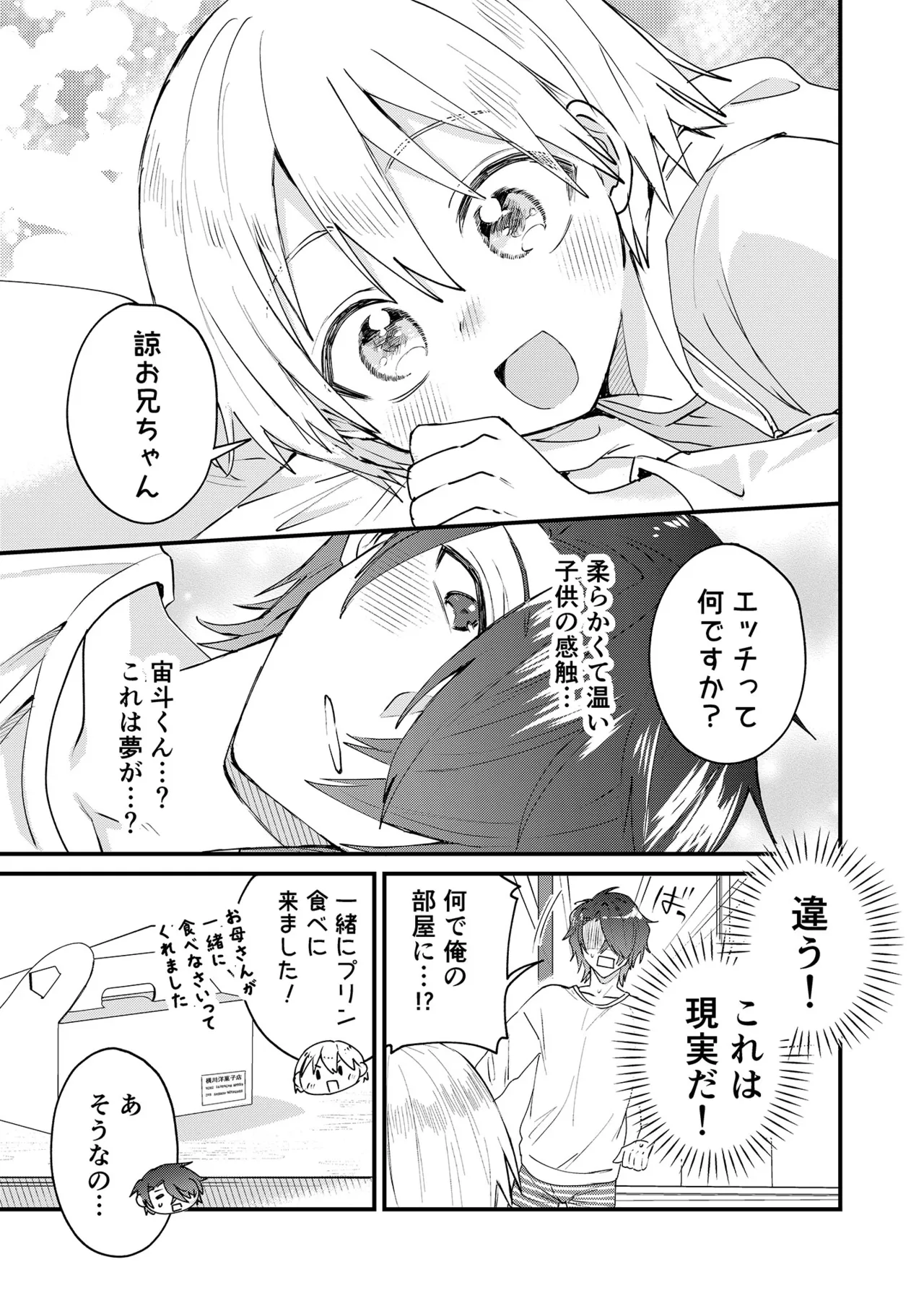 ヒミツの遊びはお兄ちゃんと!～無知少年&ツンデレ少年を美味しく頂く本～ - page12