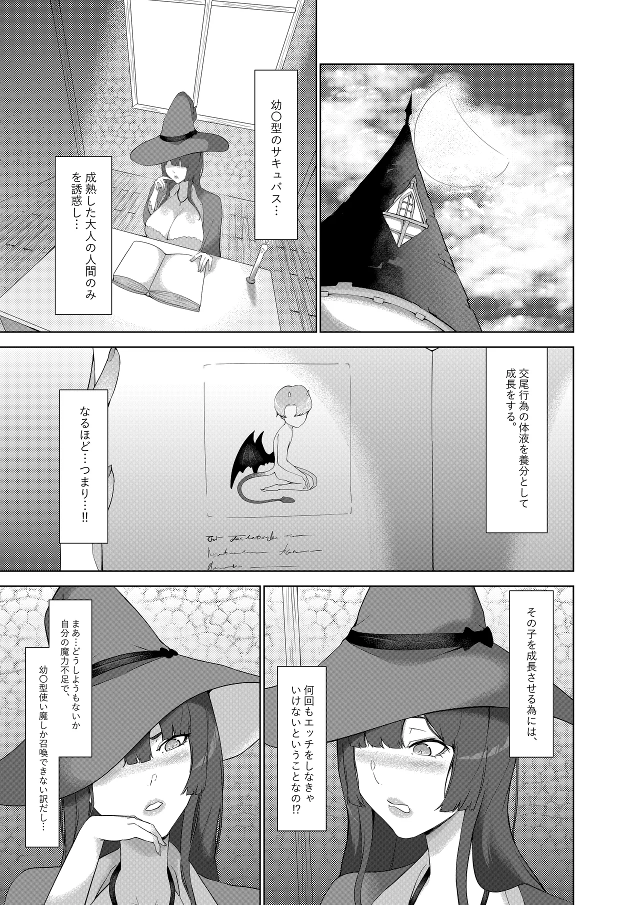 甘えん坊サキュバスを召喚した件 - page14