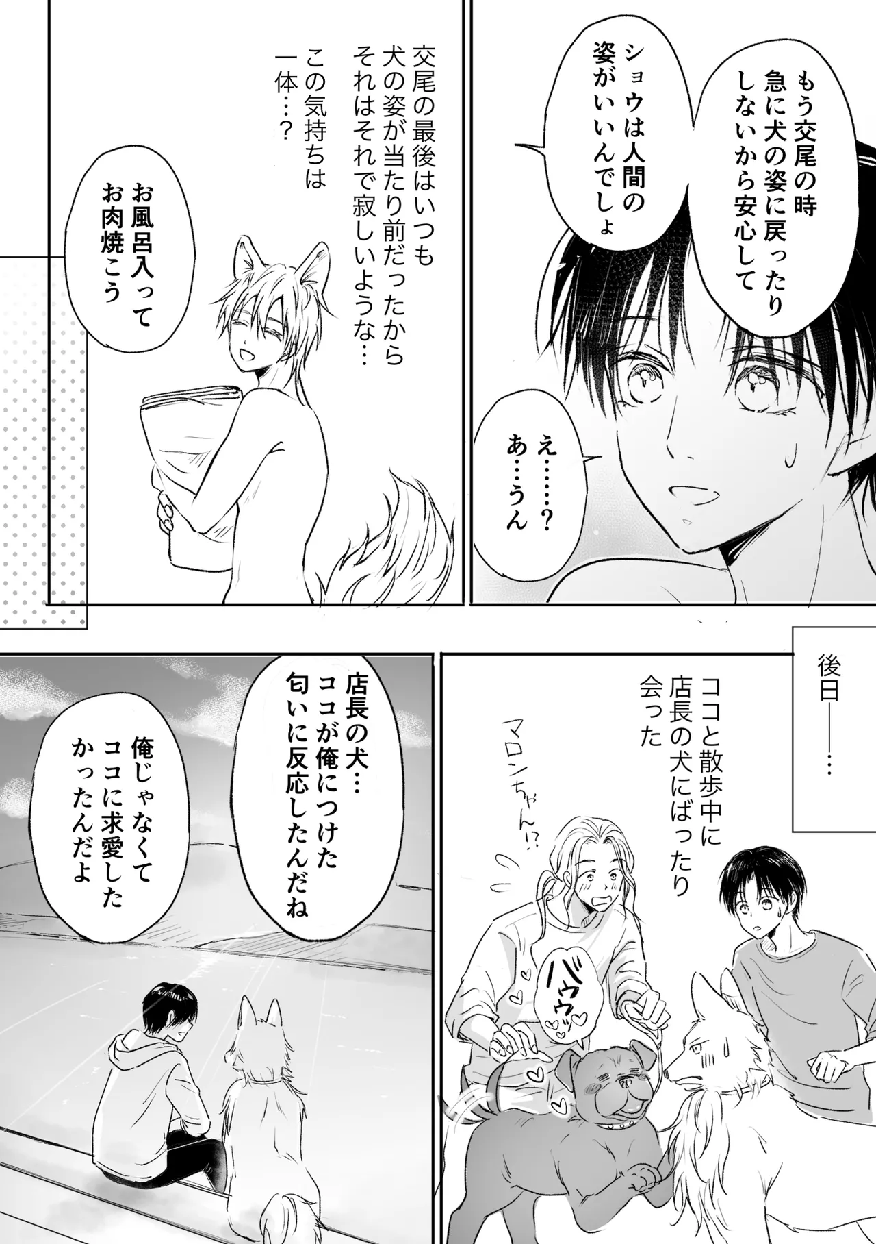 恋するモフモフ～上書きマーキング交尾編～ - page27