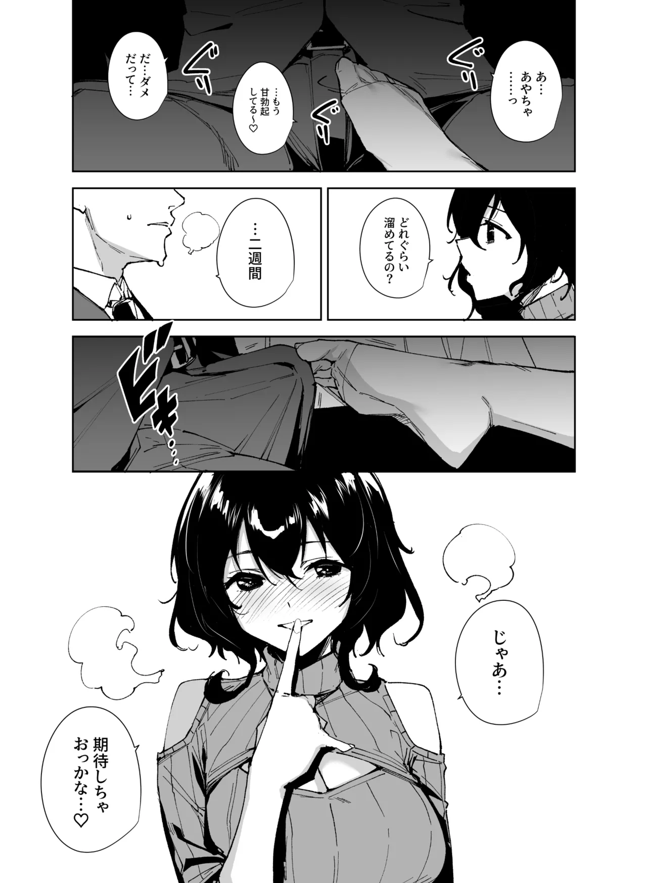 秘公開サブプラン2 - page4