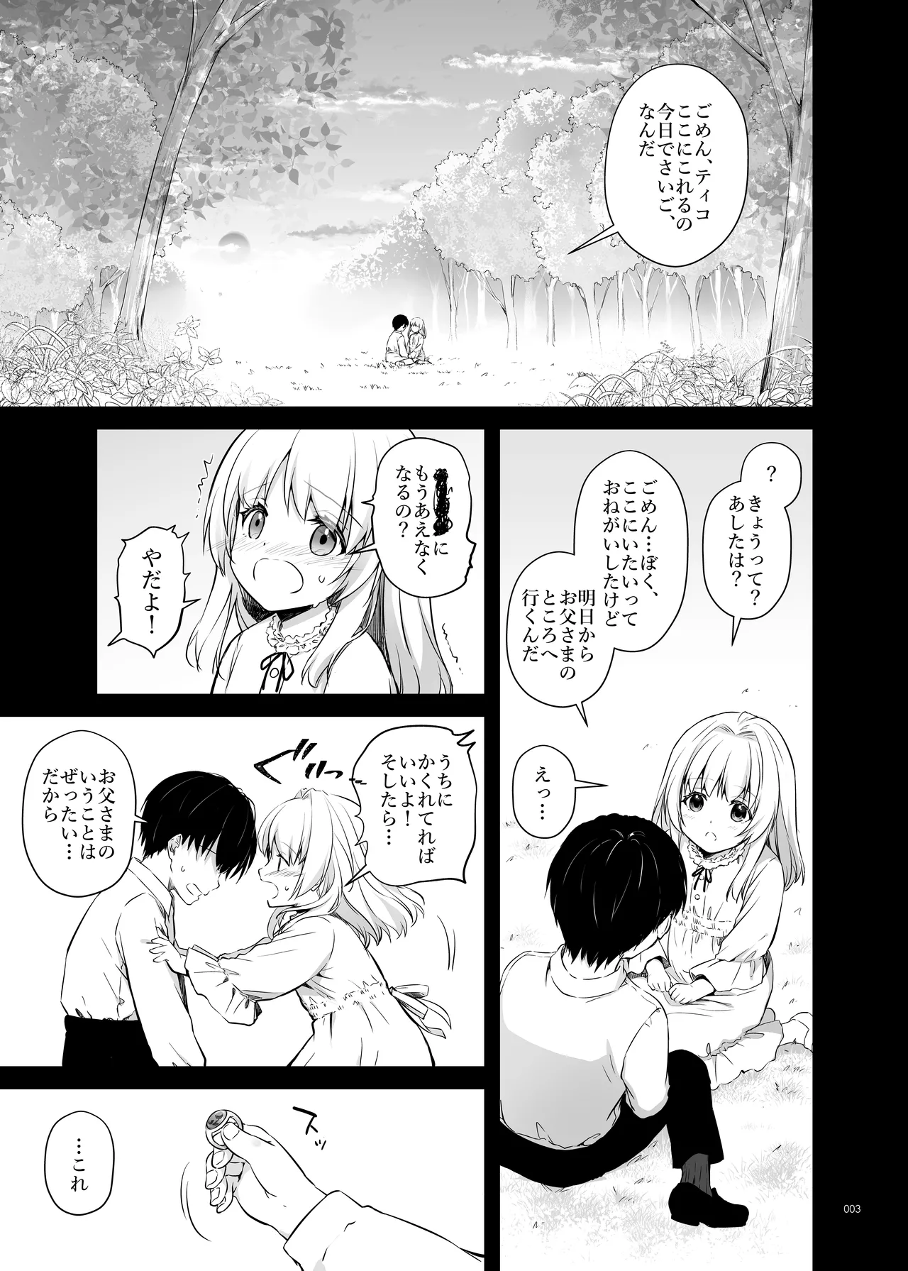 敵国貴族の執着溺愛 - page3