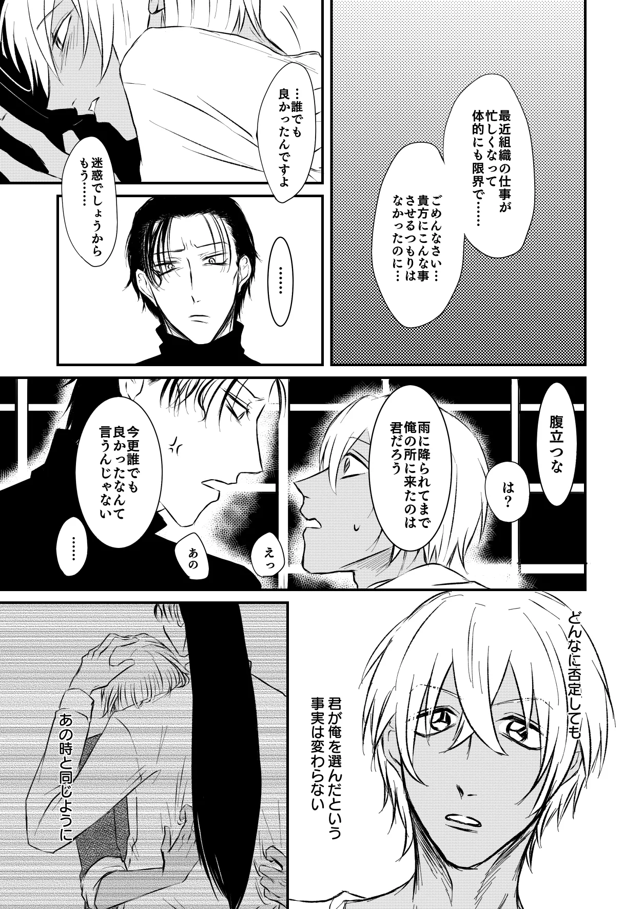 [Re：繚乱 (京宮良) 優しくしたい (名探偵コナン) [DL版] - page28