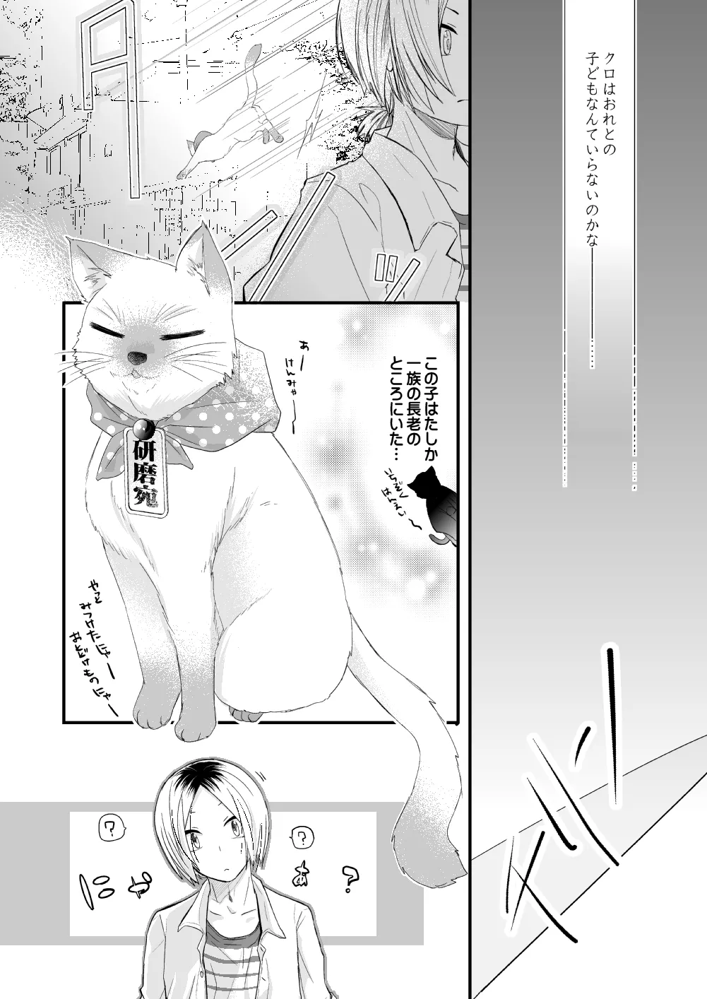 黒猫と三毛猫の新婚生活録 - page9