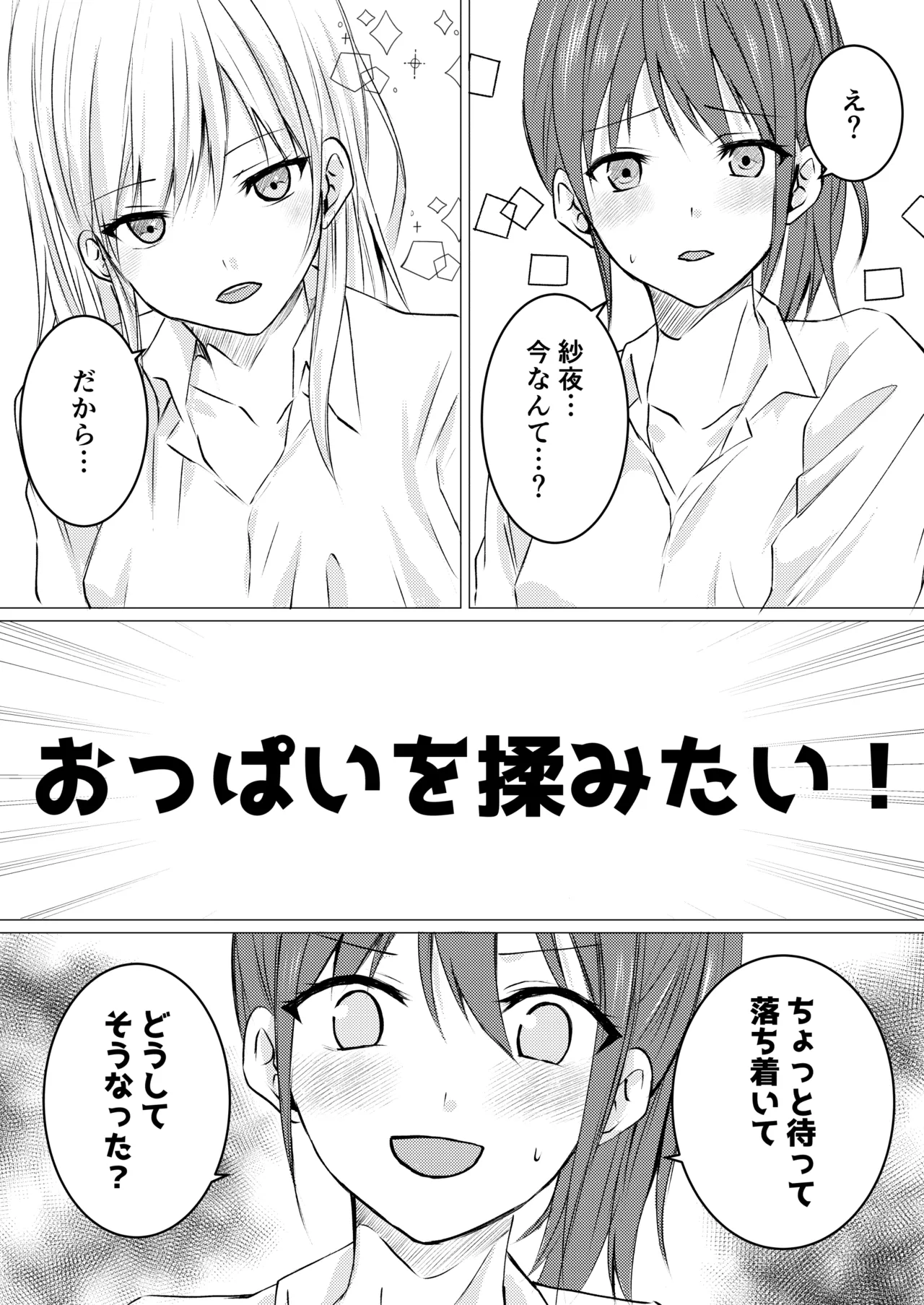 女の子だって、おっぱいを揉みたい! - page3