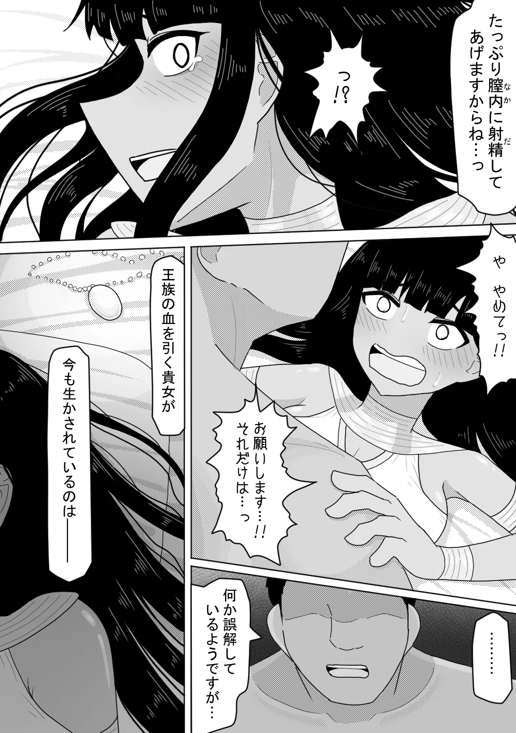 亡国の姫君～罪なる妖美～ - page14