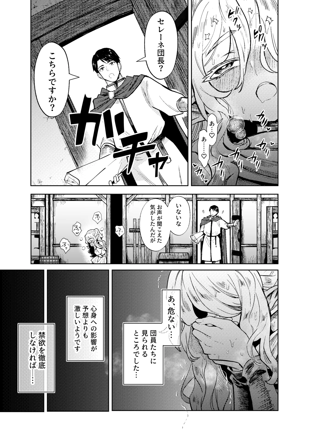 聖騎士団長様は婬術の治療のために娼館へ行きました - page14