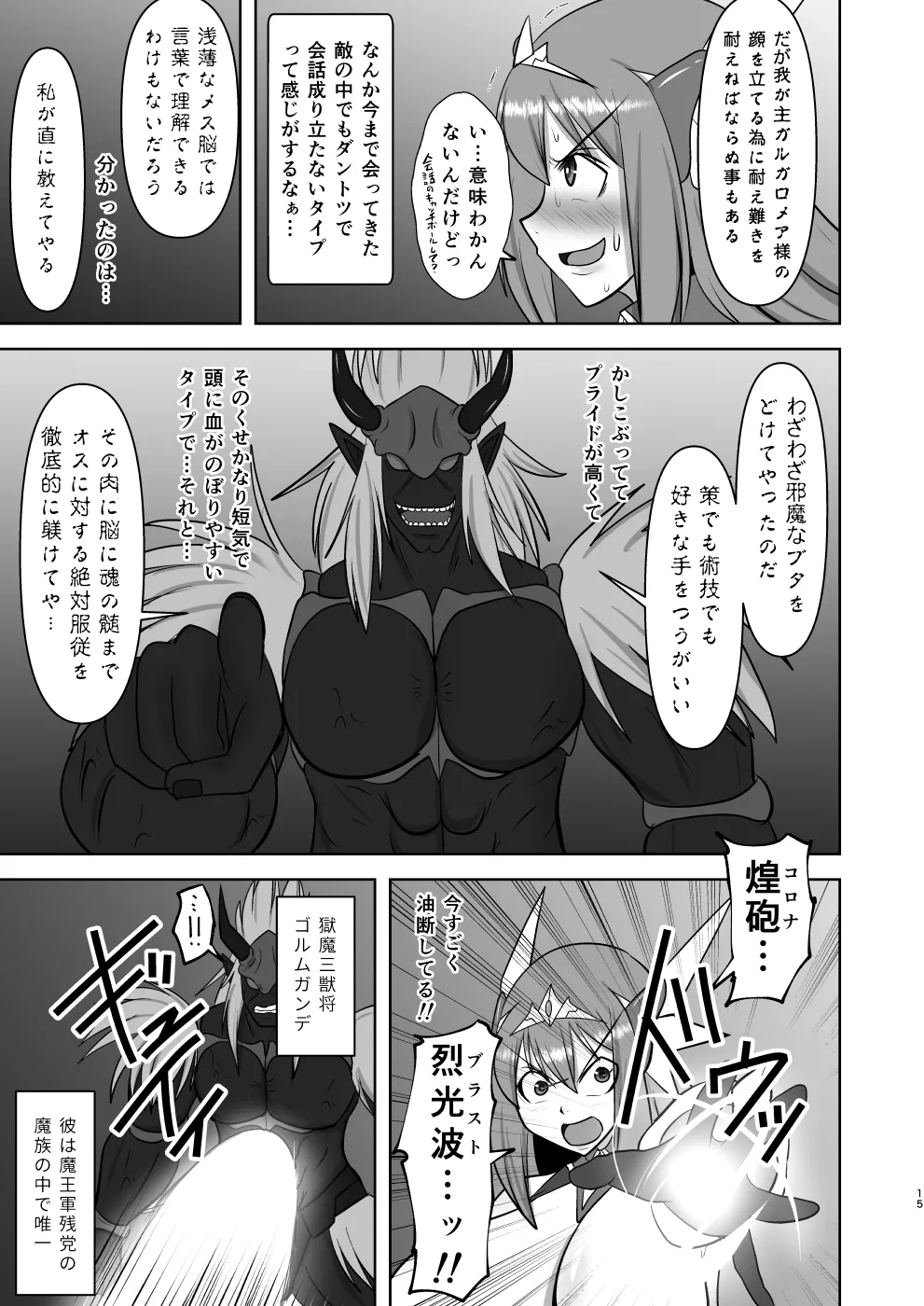 煌盾戦姫エルセイン 弱肉敗辱 - page14