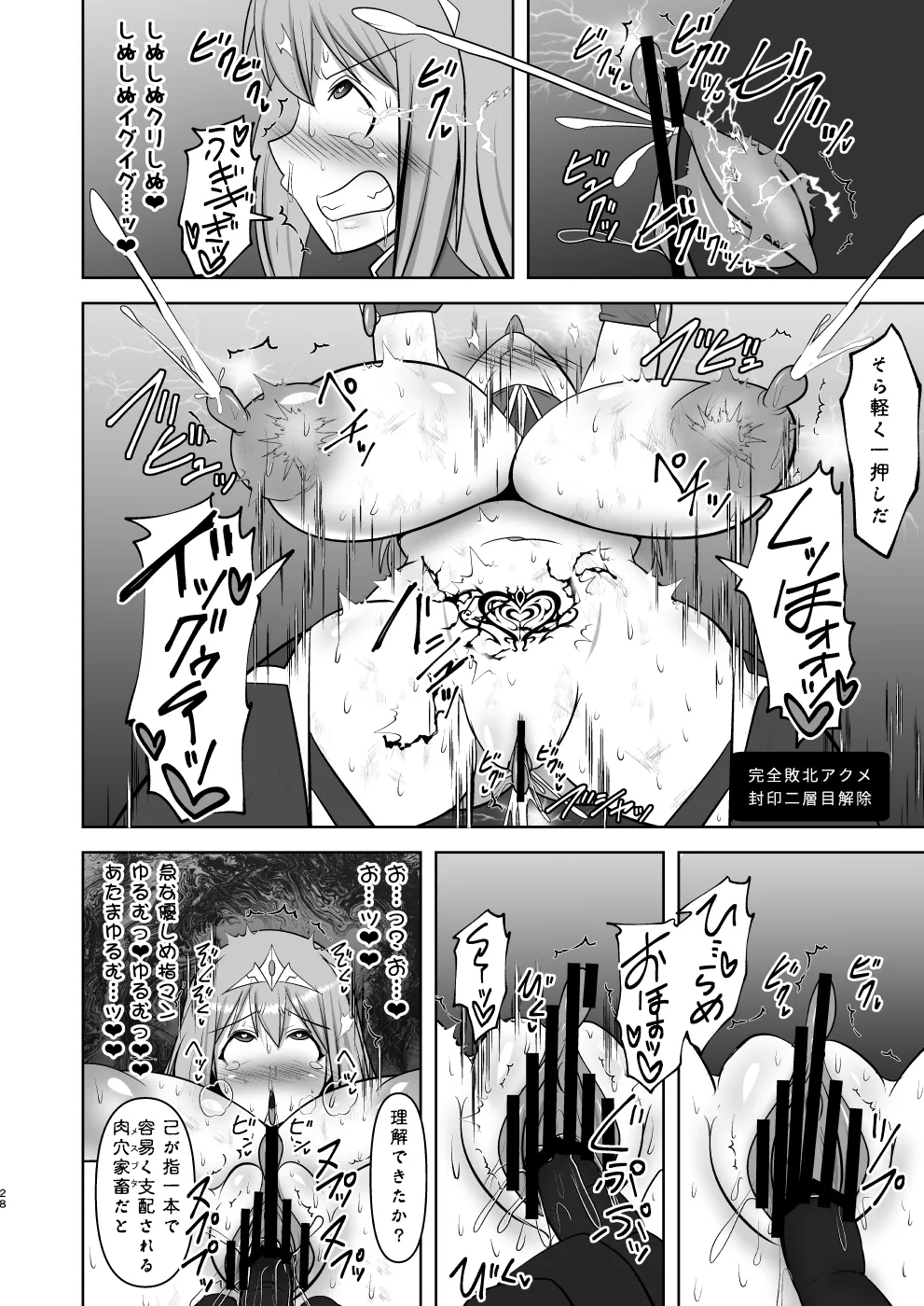 煌盾戦姫エルセイン 弱肉敗辱 - page27