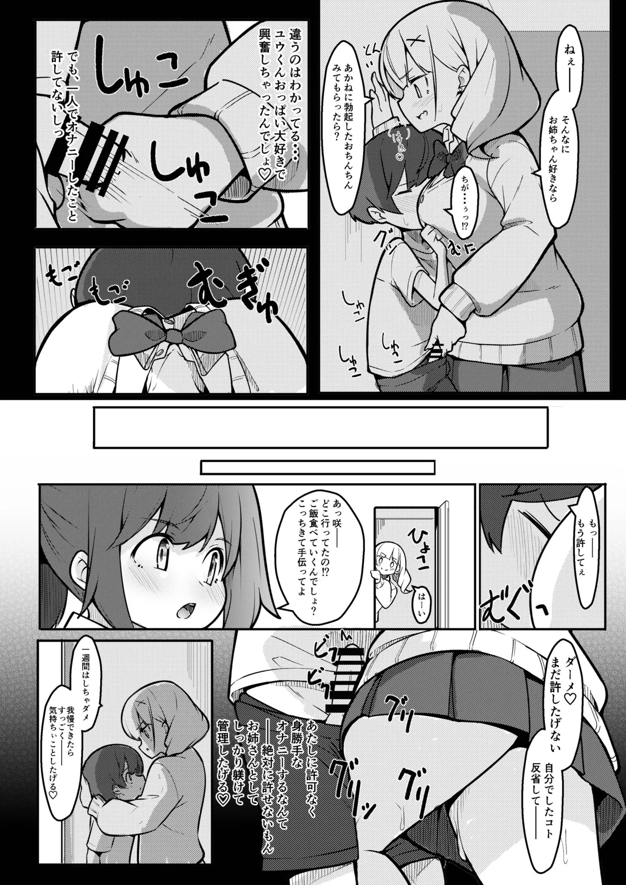 僕がお姉ちゃんの友達とえっちしているコトは誰も知らない。 - page14