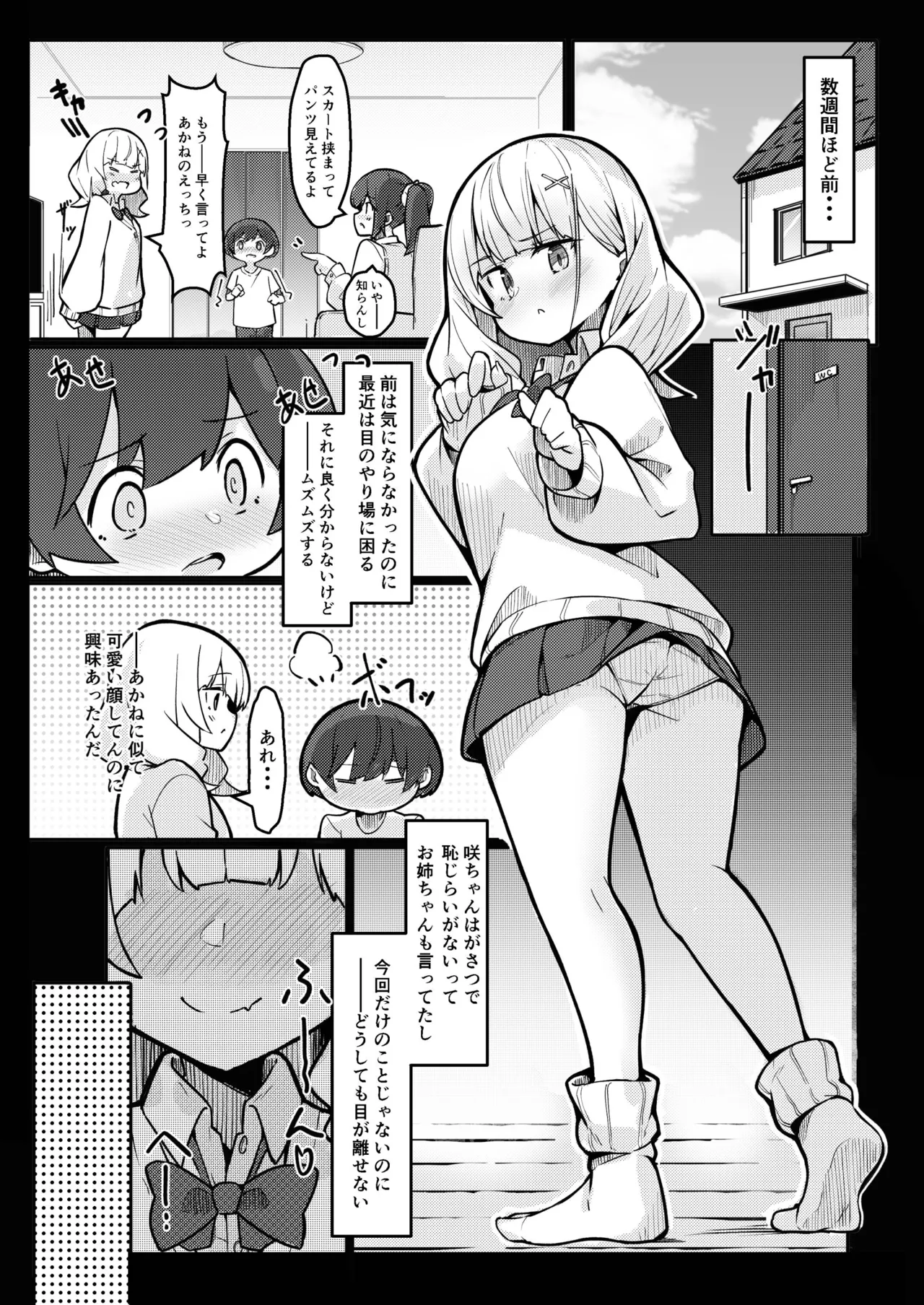 僕がお姉ちゃんの友達とえっちしているコトは誰も知らない。 - page5