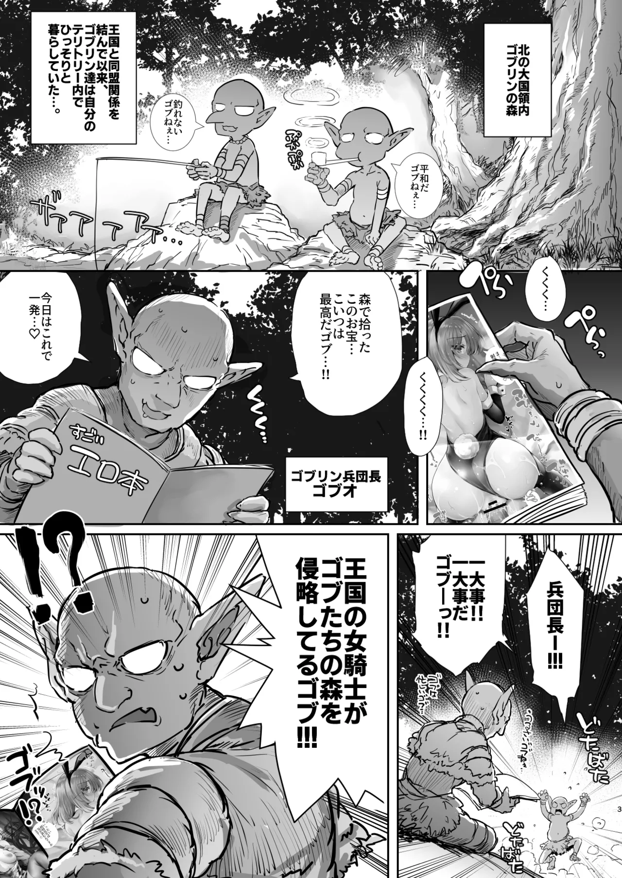 誇り高き女騎士オーシェンをゴブる本 - page3