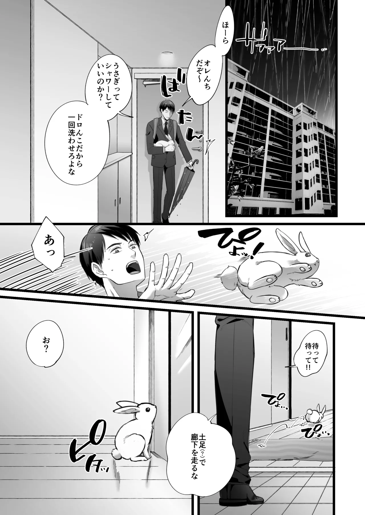 落し物は発情うさぎ - page3