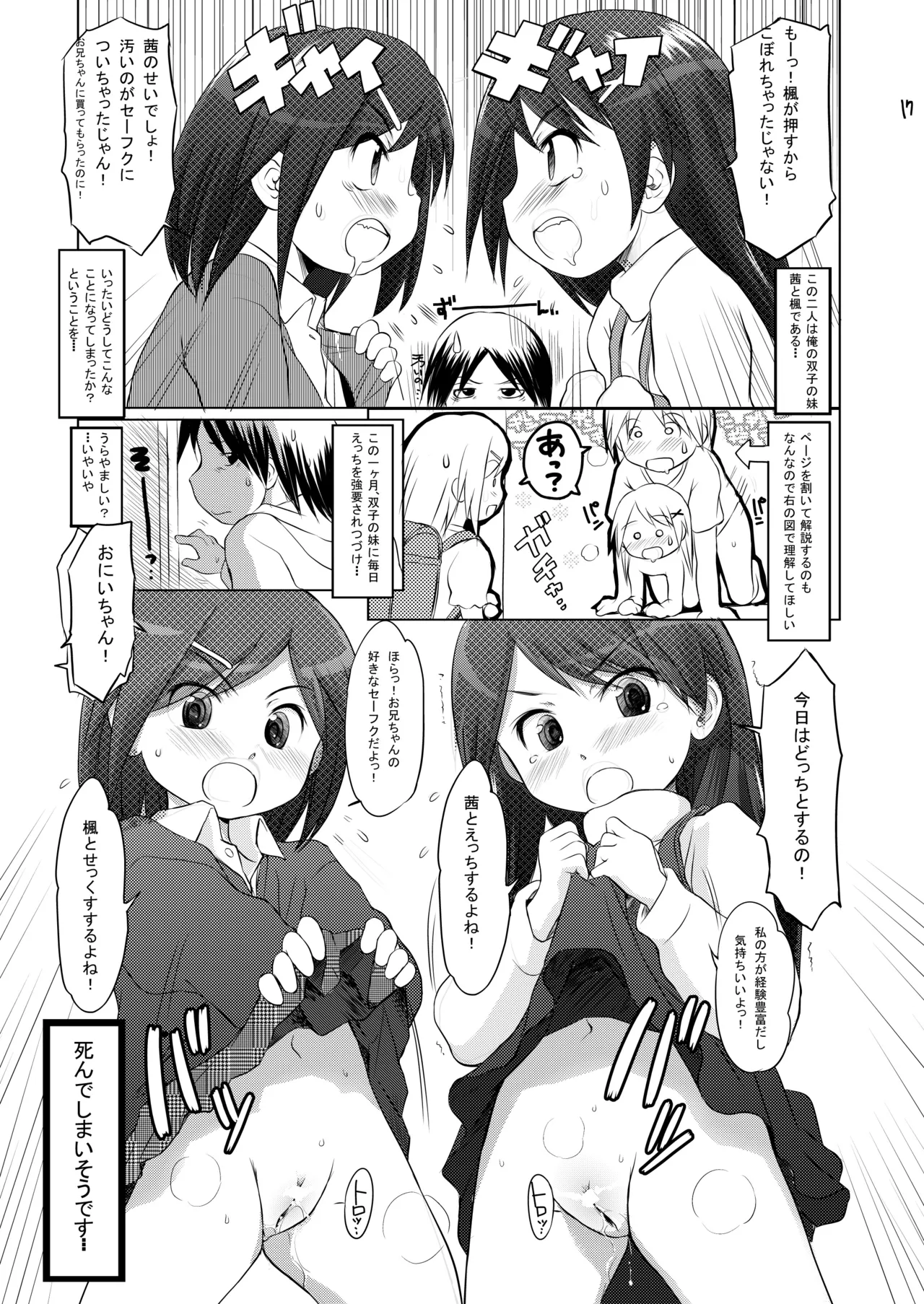 FTTH1/2/ゆあがる・DLぱっく - page17