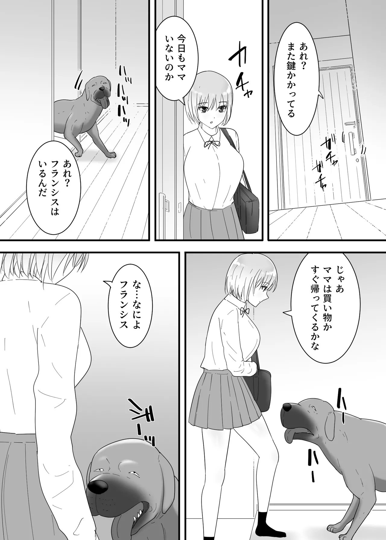 フランシスは女子校生に種付けしたいっ！ - page11