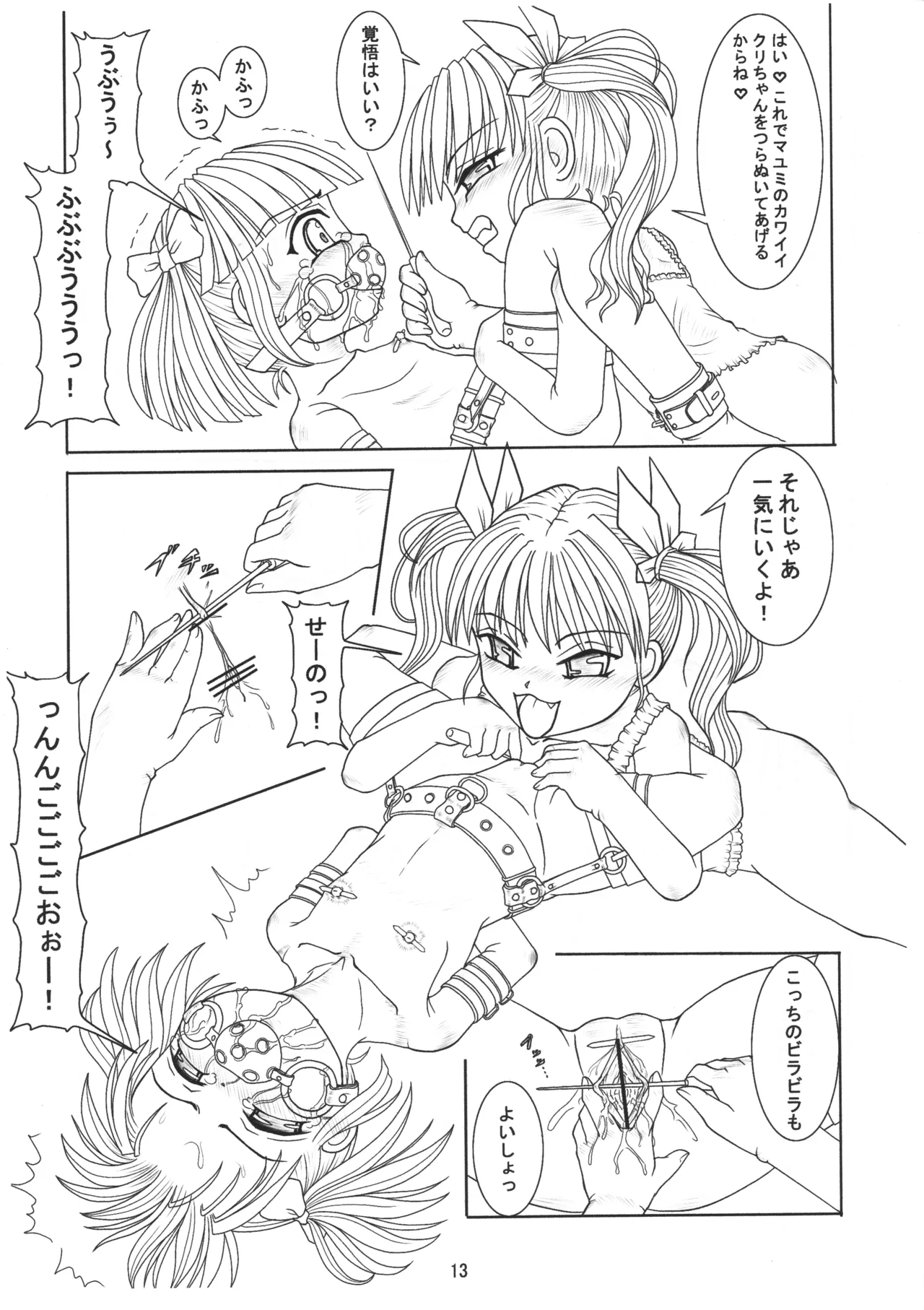 ごしゅじんさまのきもち ぺっとのきもち - page12
