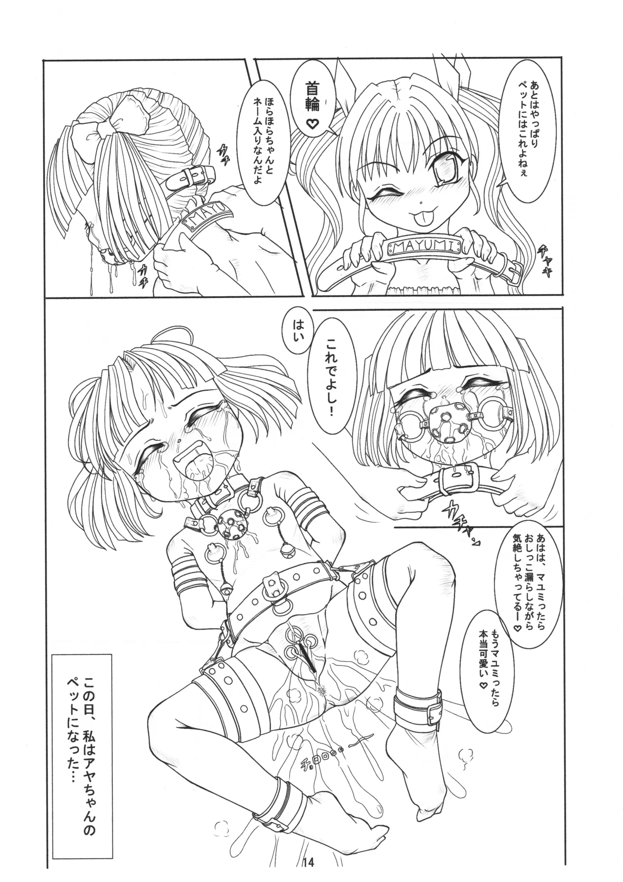 ごしゅじんさまのきもち ぺっとのきもち - page13