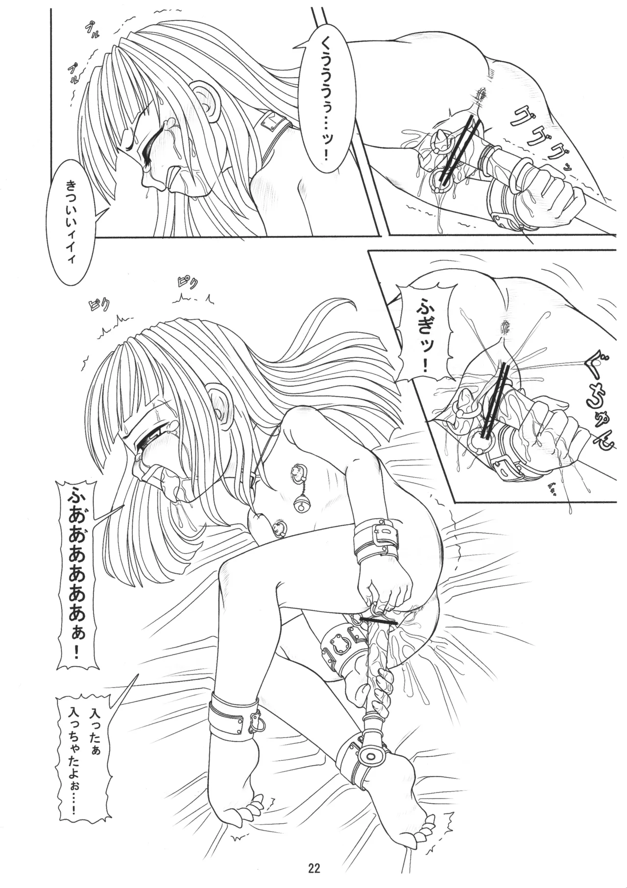 ごしゅじんさまのきもち ぺっとのきもち - page21